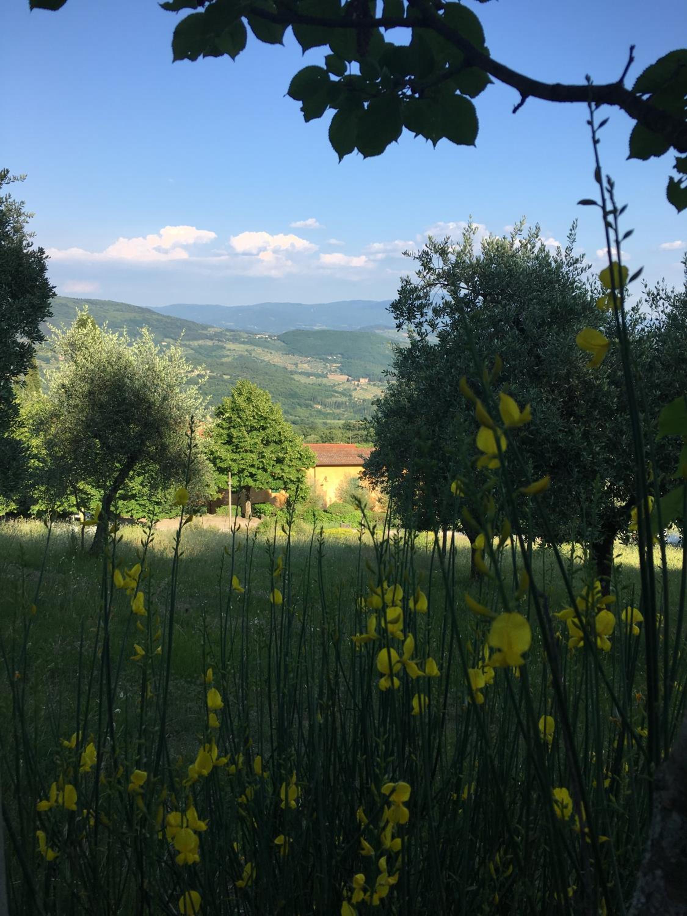I Casali del Trebbiolo