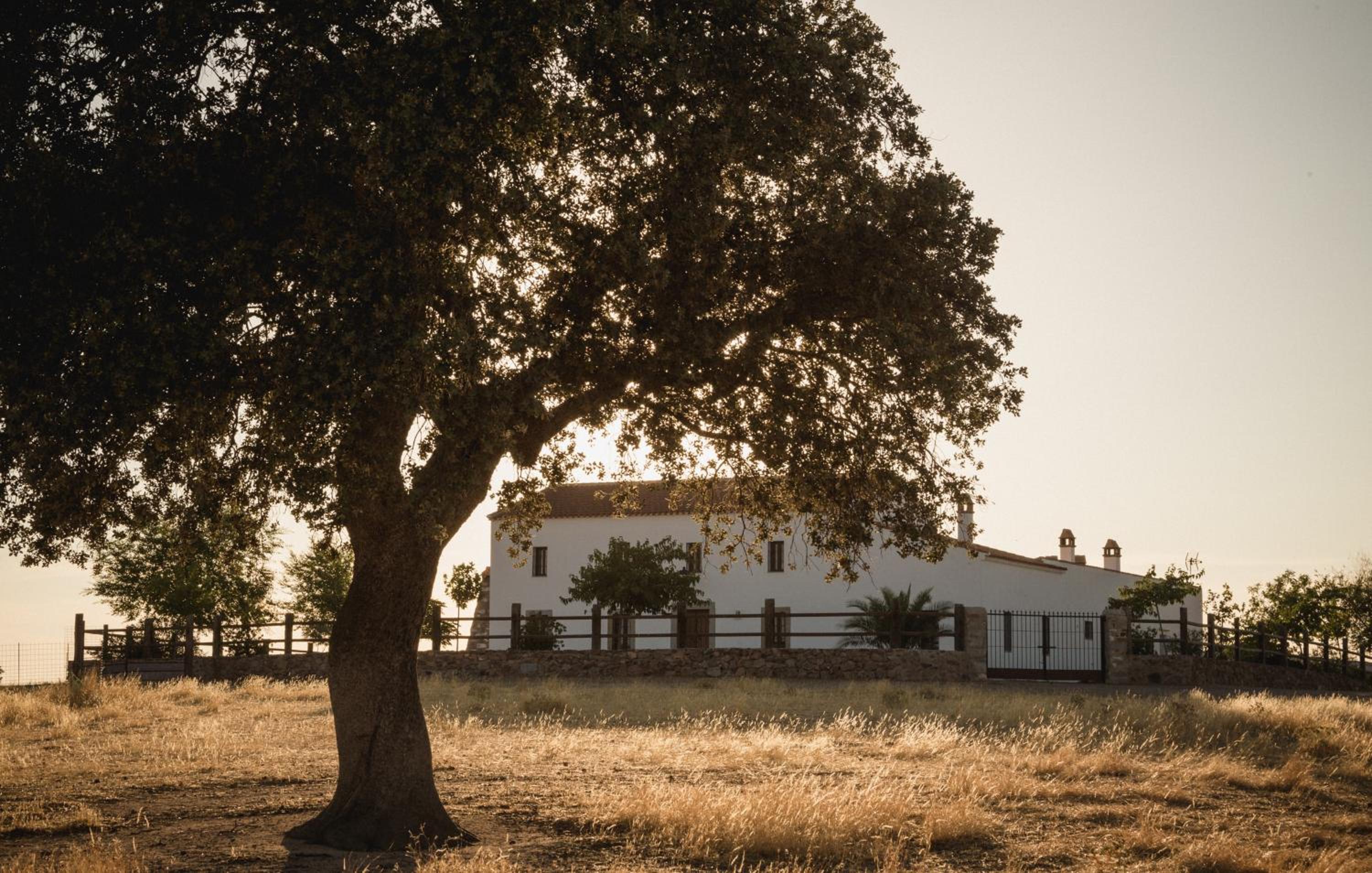Cortijo La Panadera