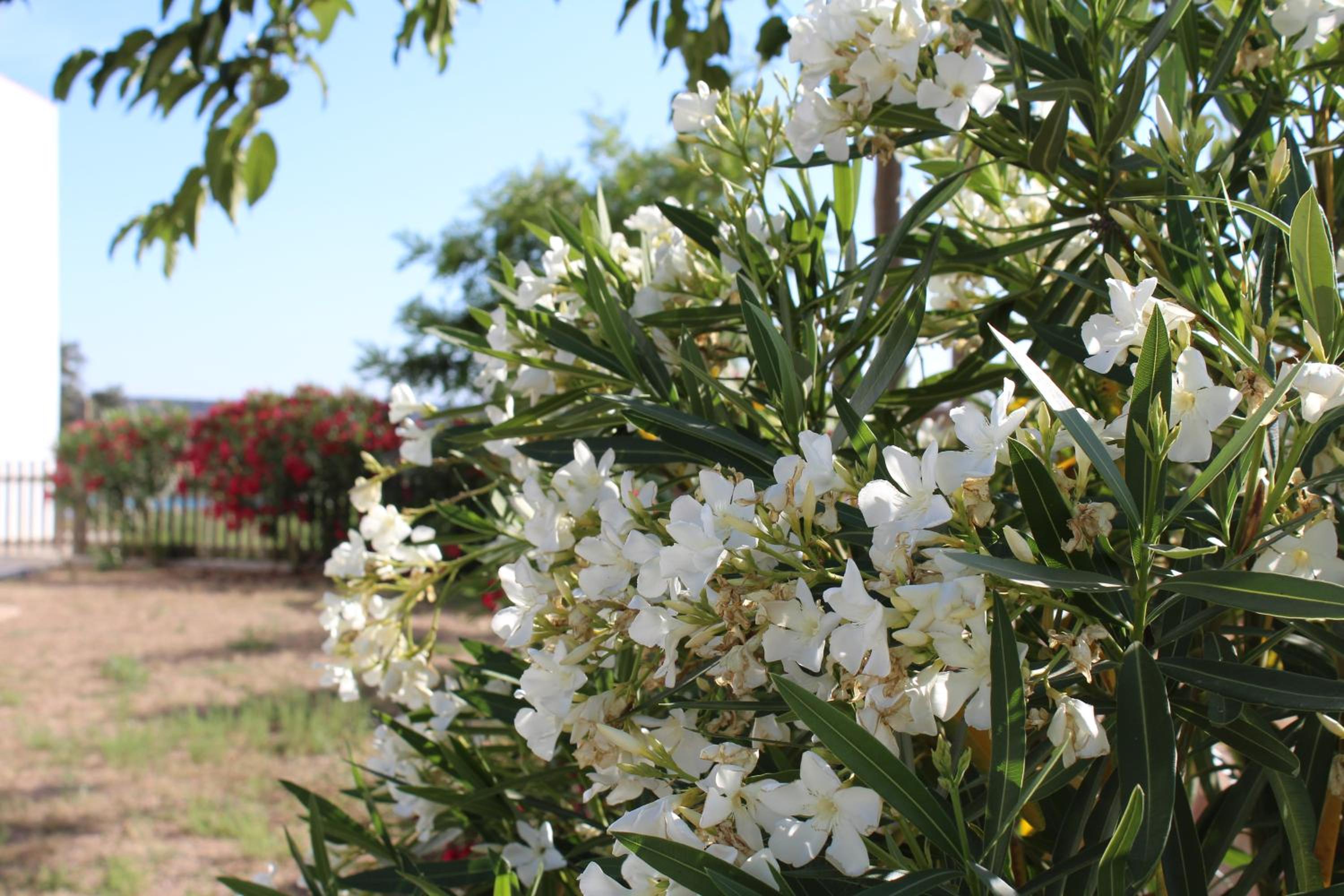 Cortijo La Panadera