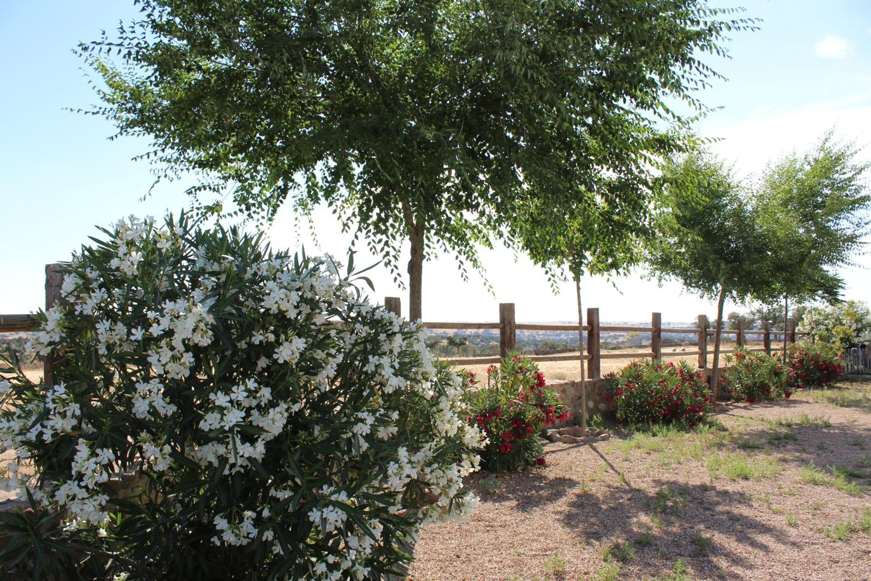 Cortijo La Panadera