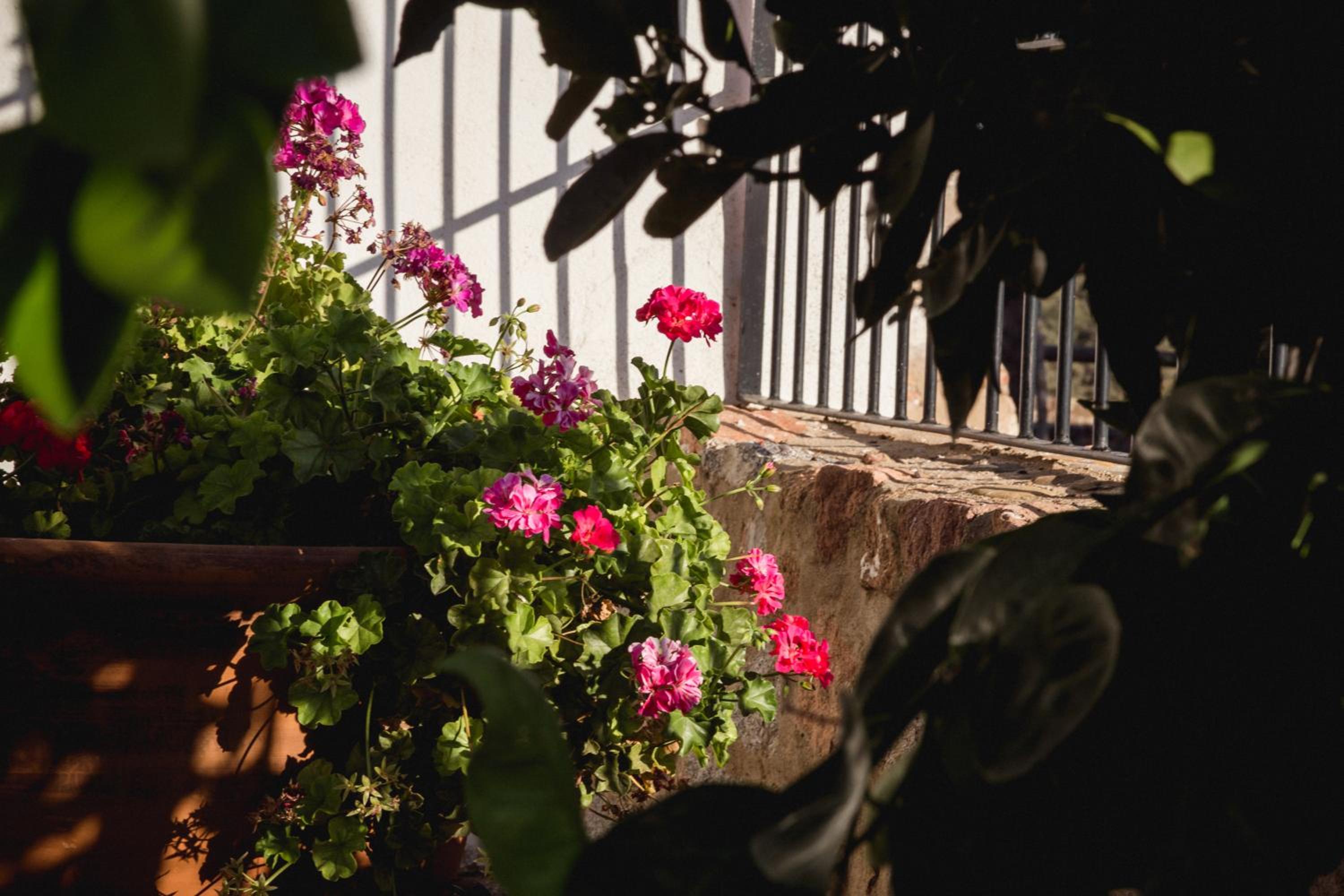 Cortijo La Panadera