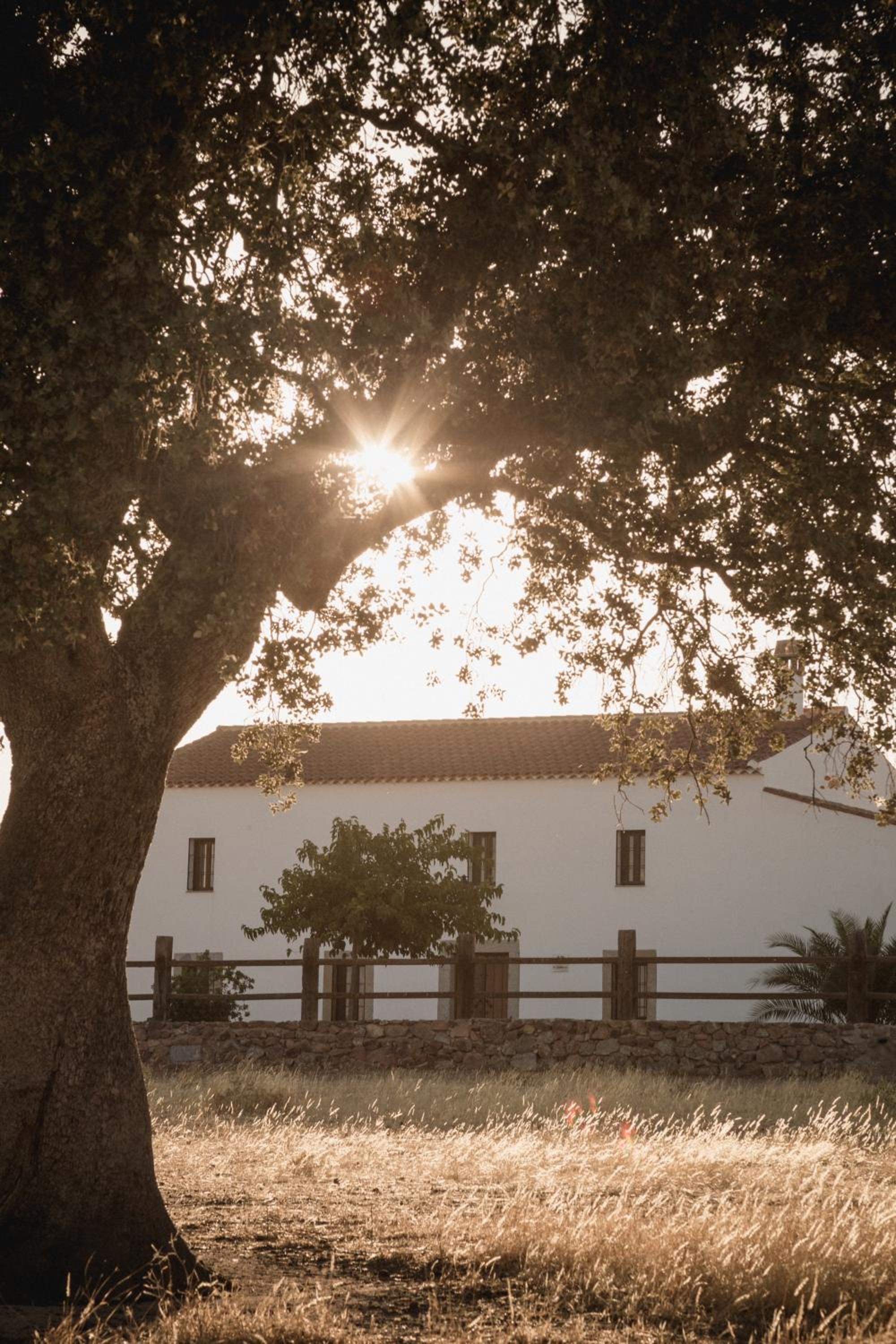 Cortijo La Panadera
