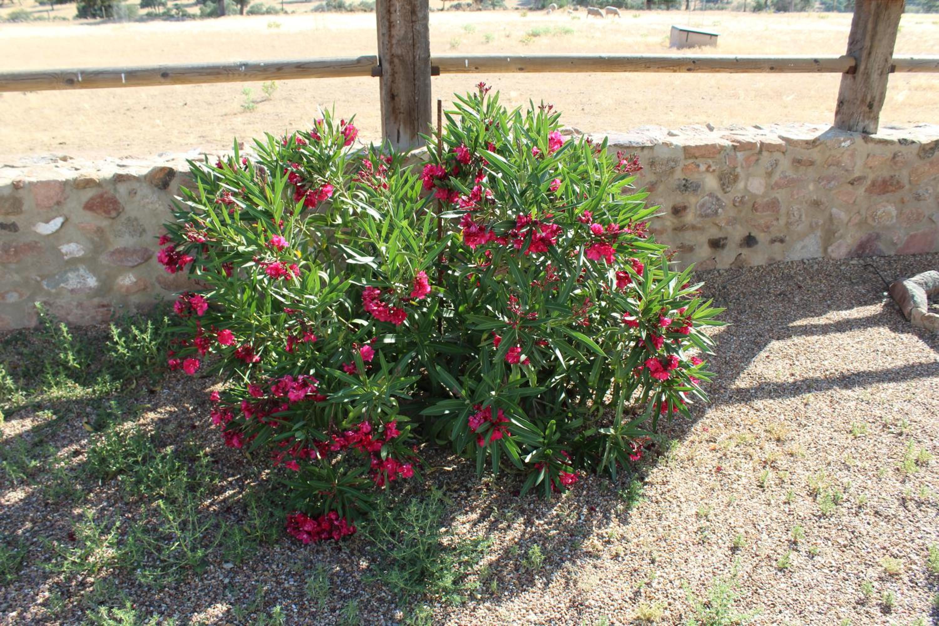 Cortijo La Panadera