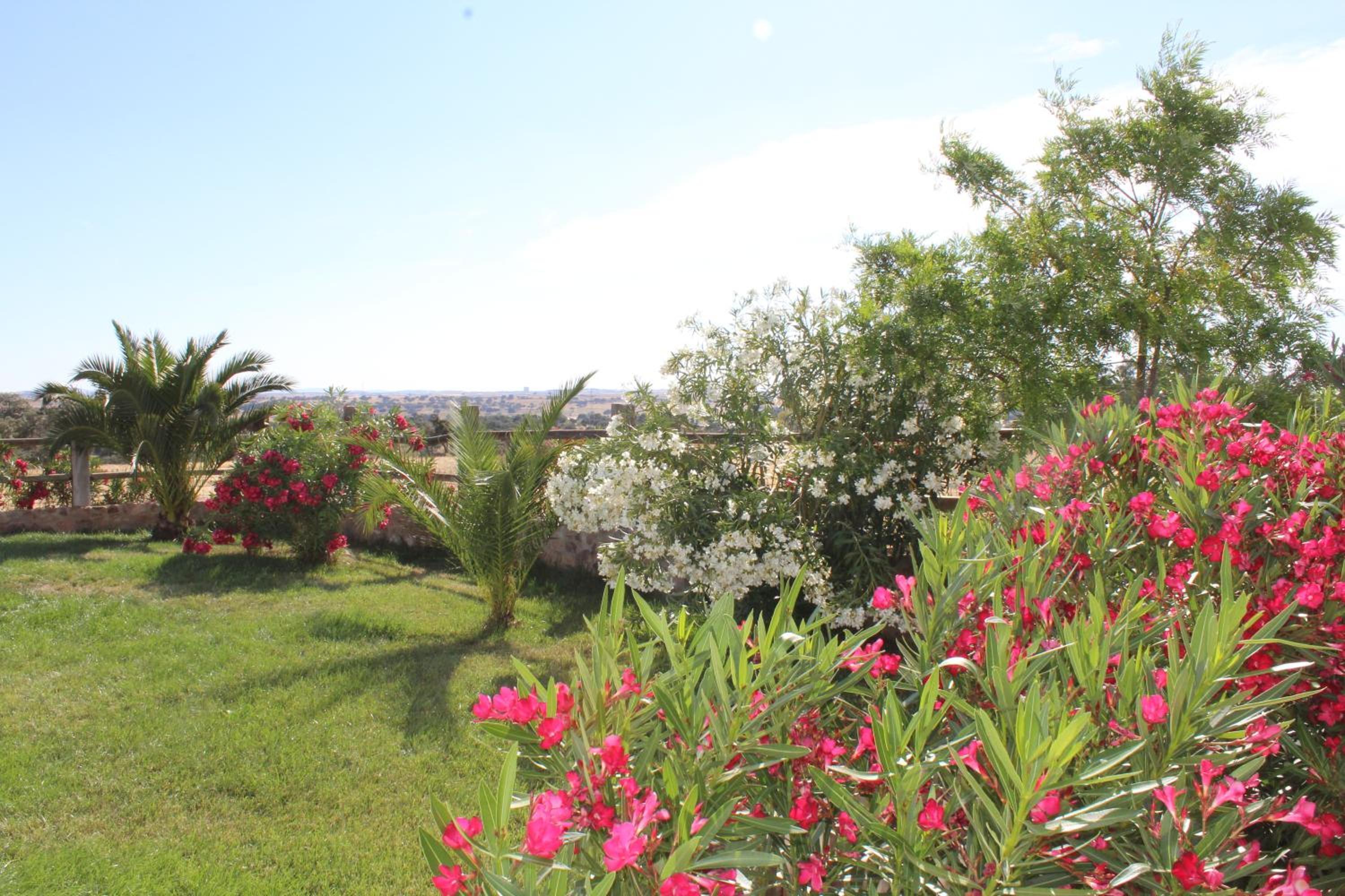Cortijo La Panadera