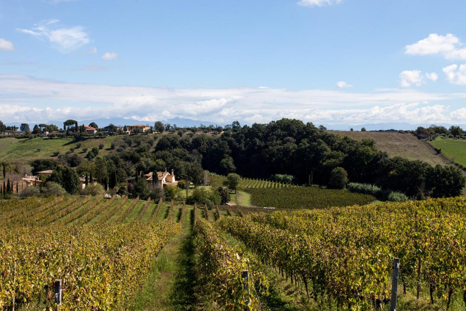 Borgo del Gelso