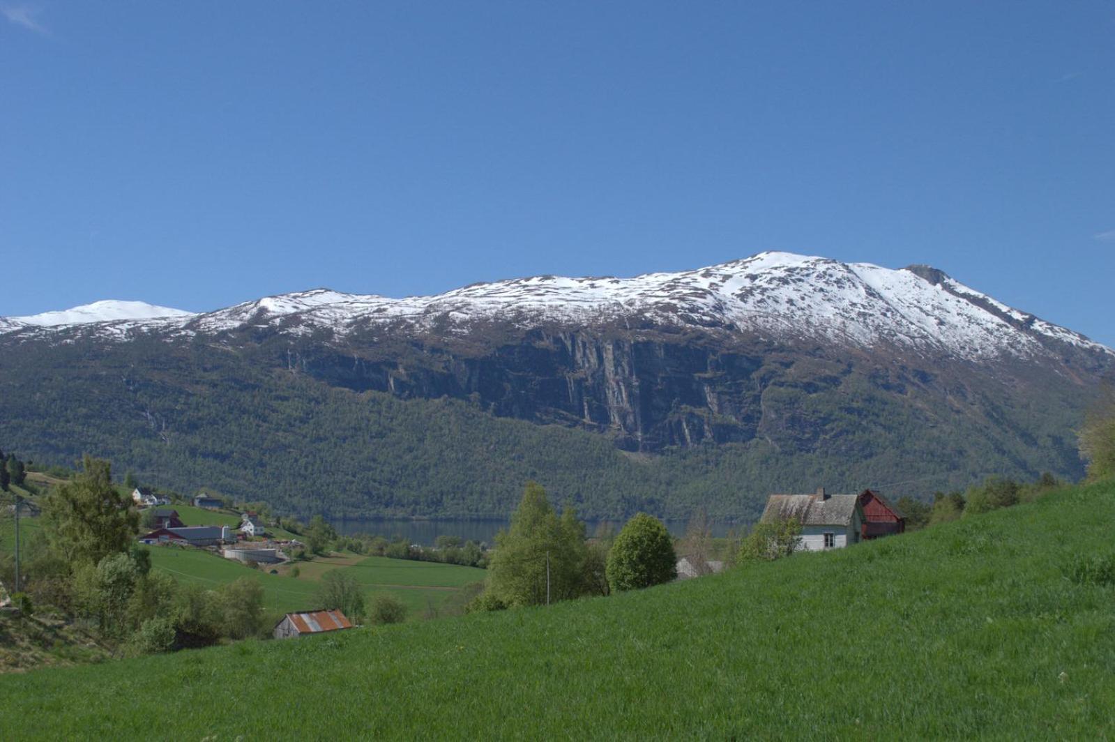 Photo 25