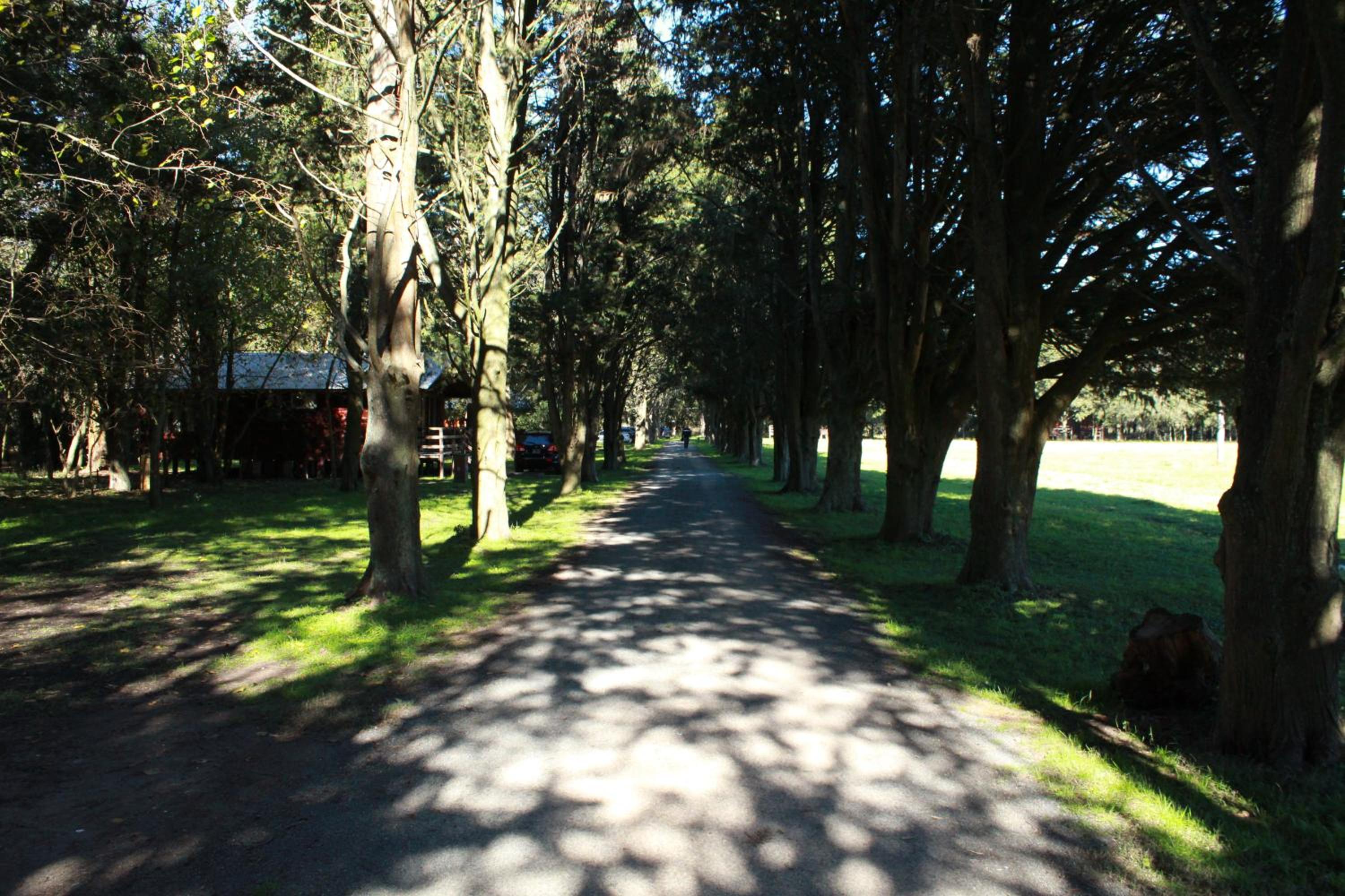 Estancia Laguna Vitel