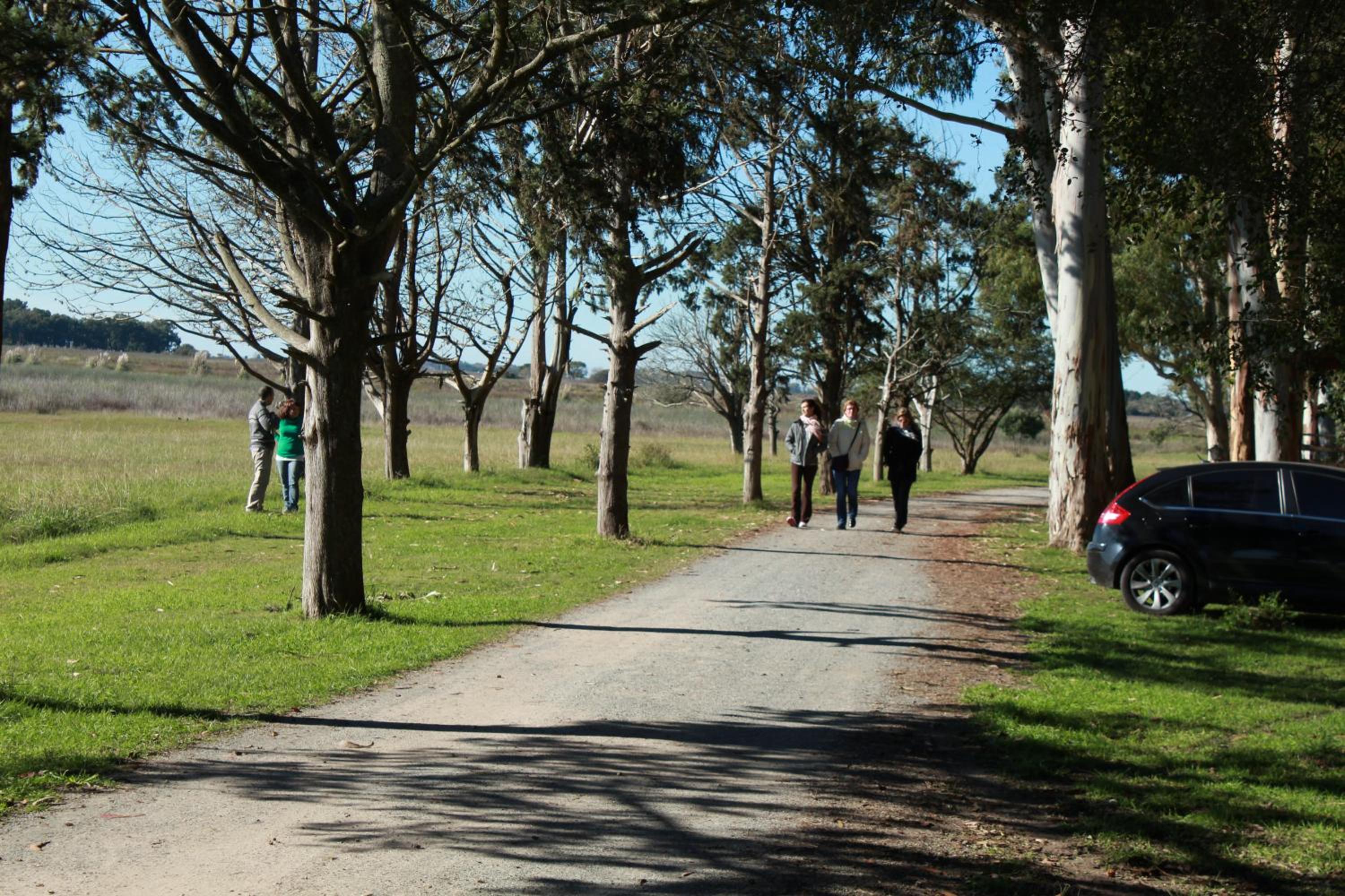 Estancia Laguna Vitel