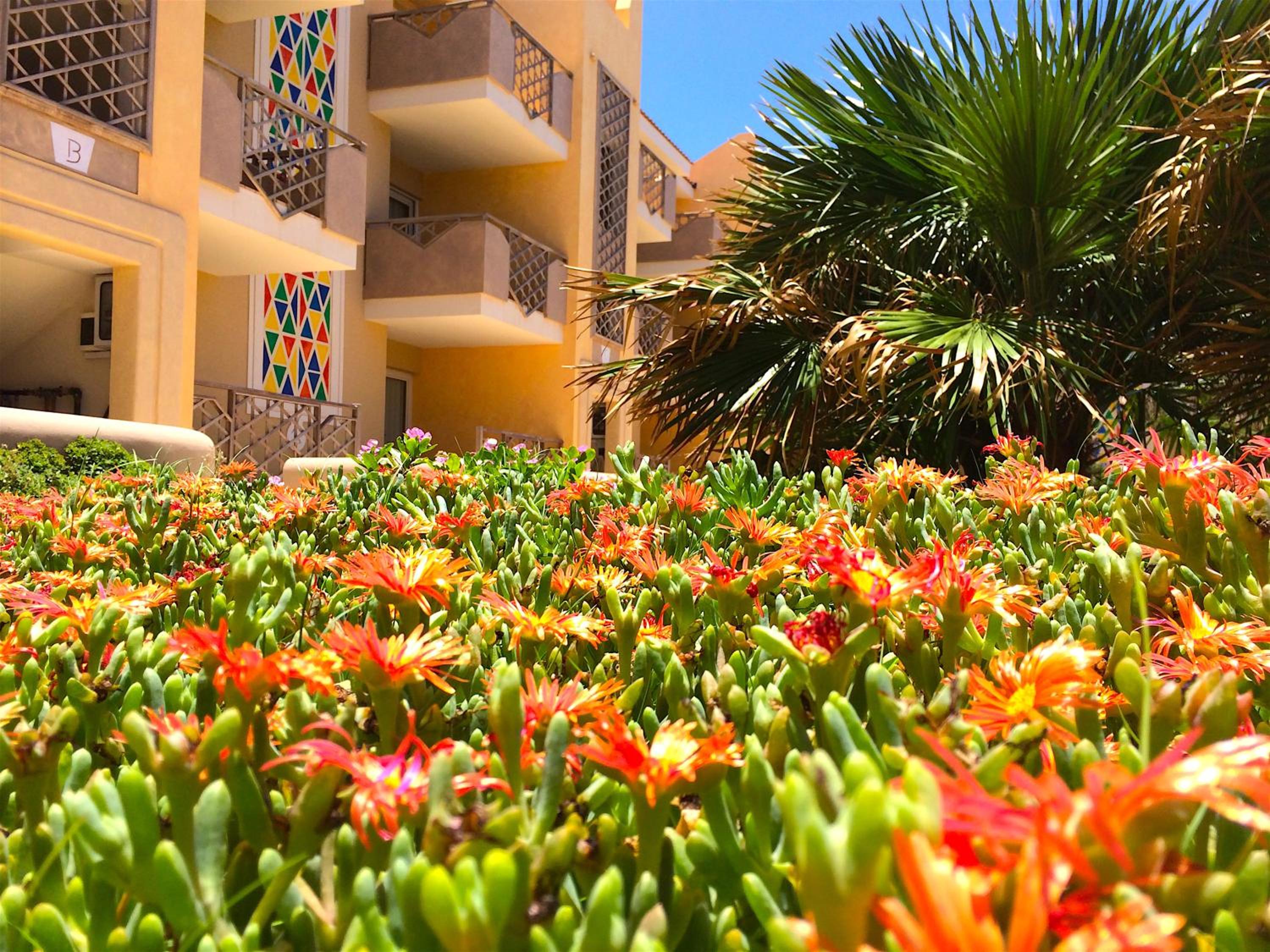 Apartment | in Tropical Resort | pool | close to beach