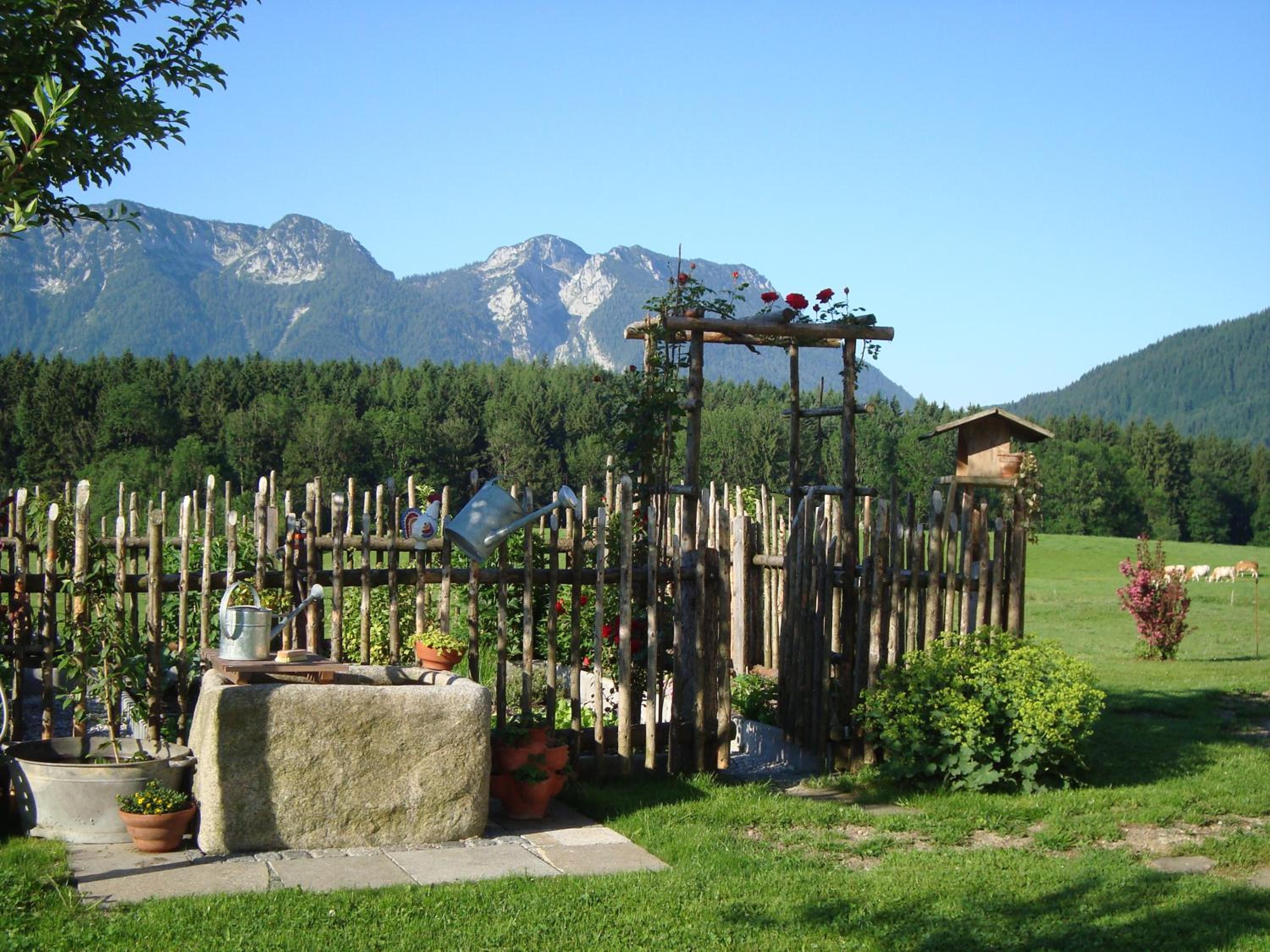 Photo 25