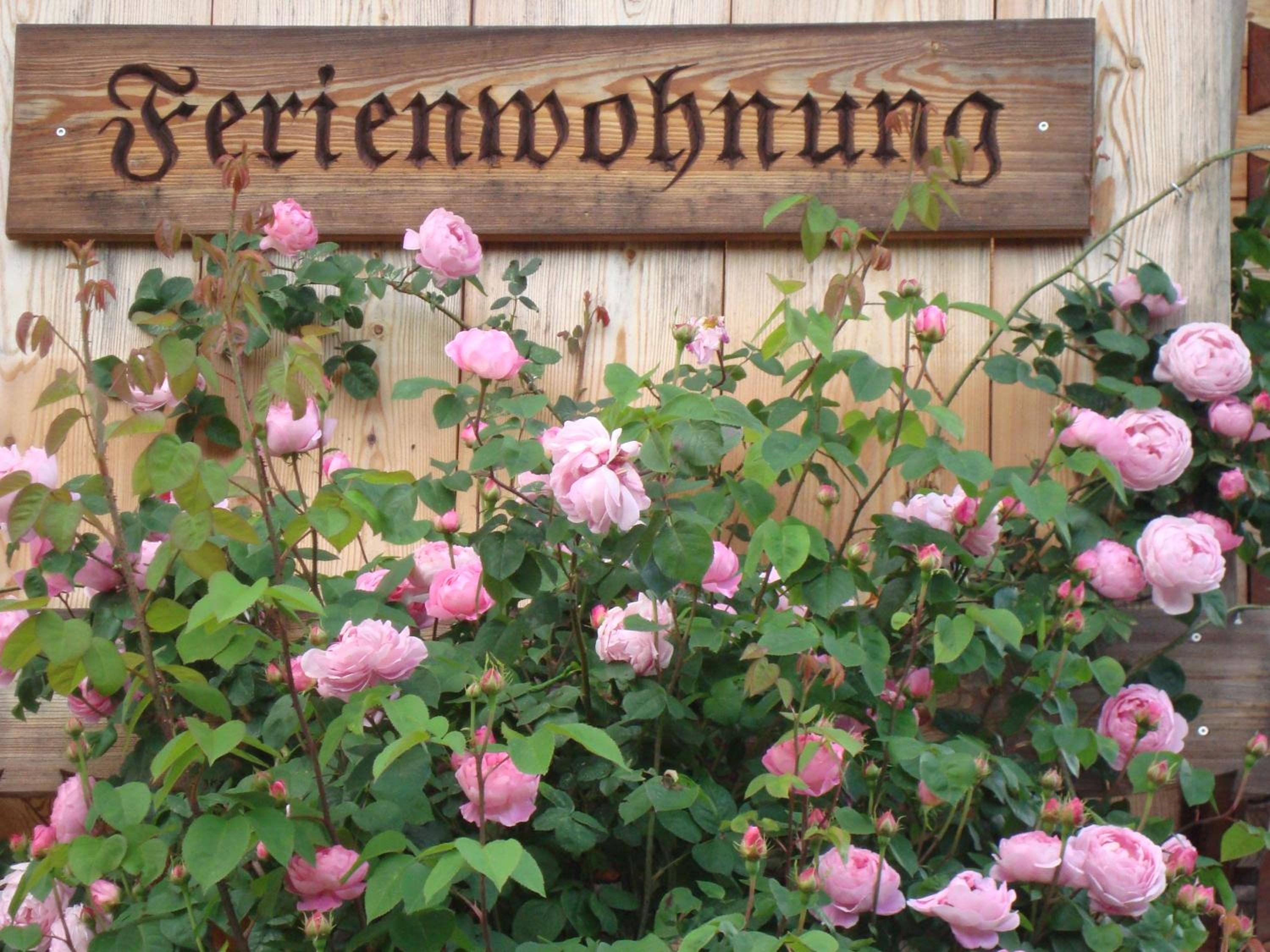 Ferienwohnung Regina Holzner view 2