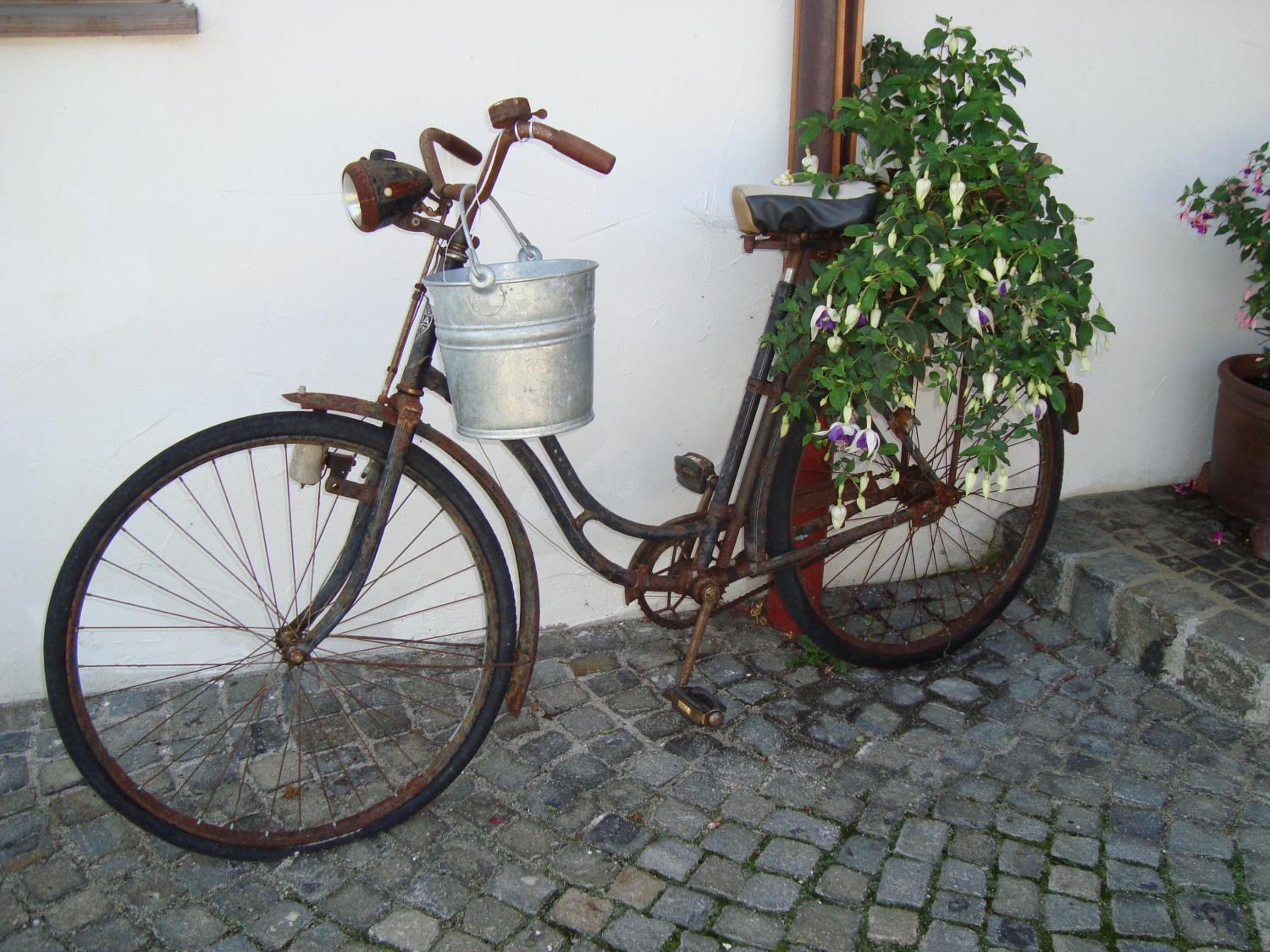 Photo 30