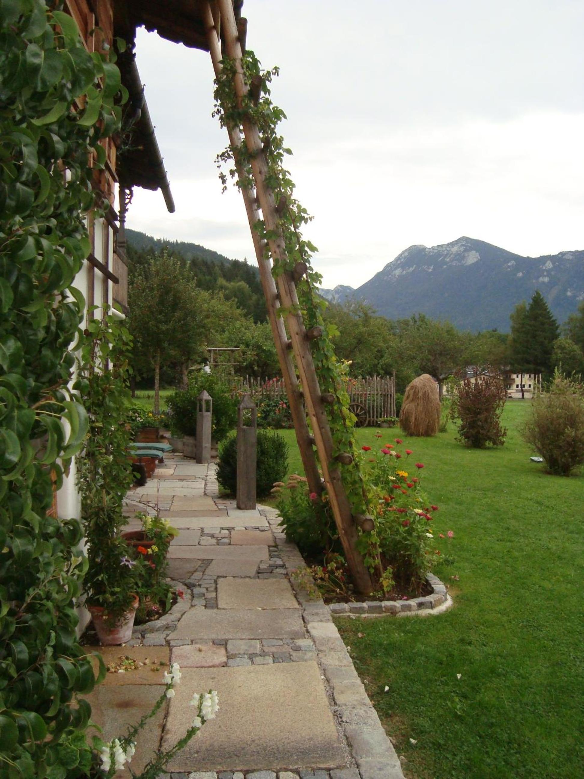 Photo 31