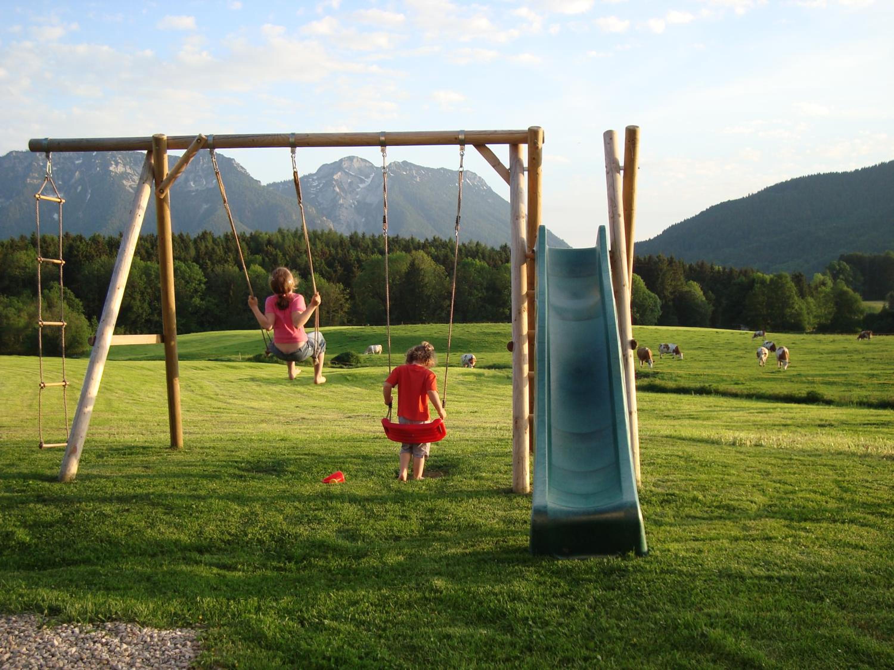 Photo 45