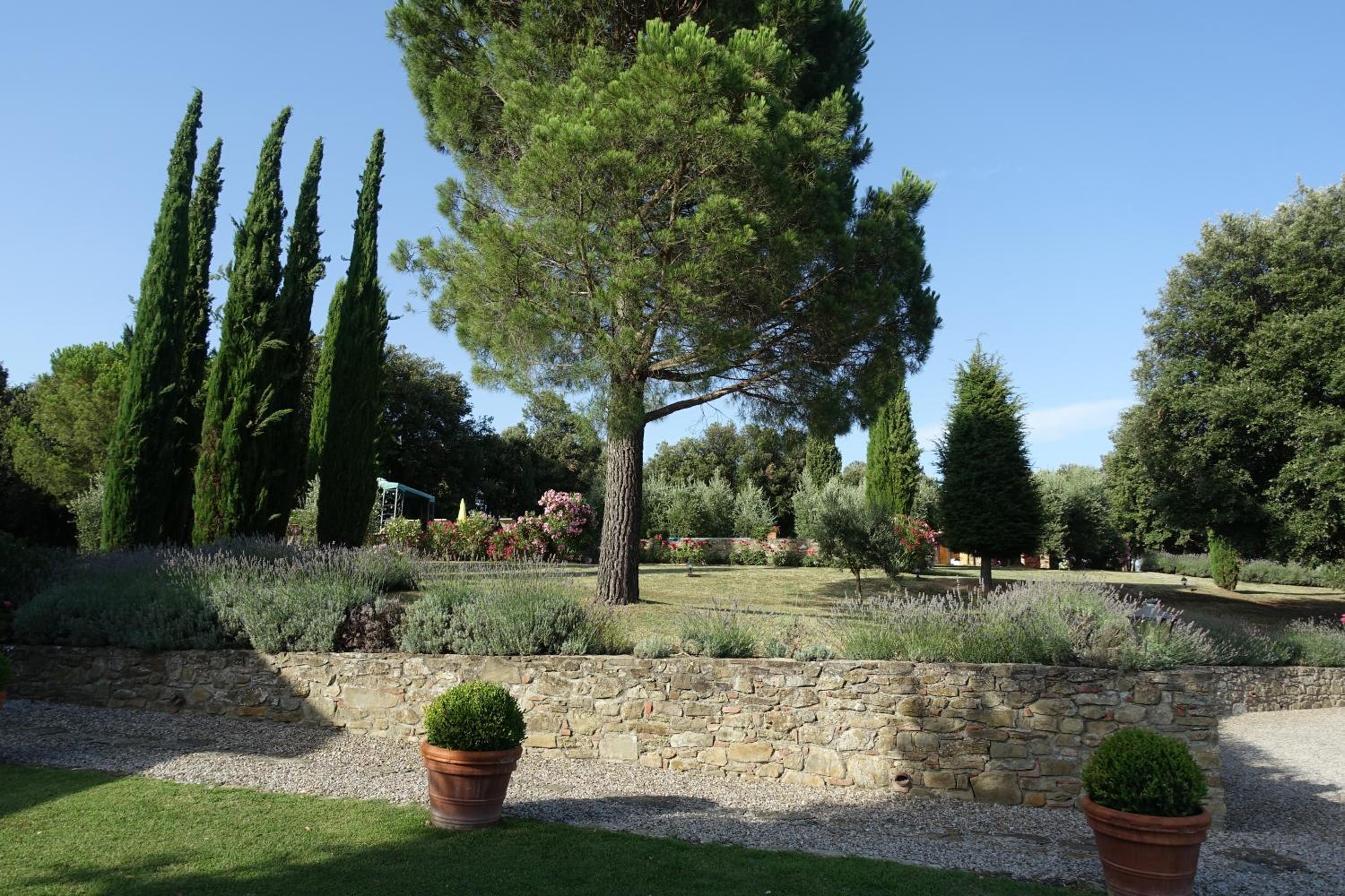 Villa Del Medico