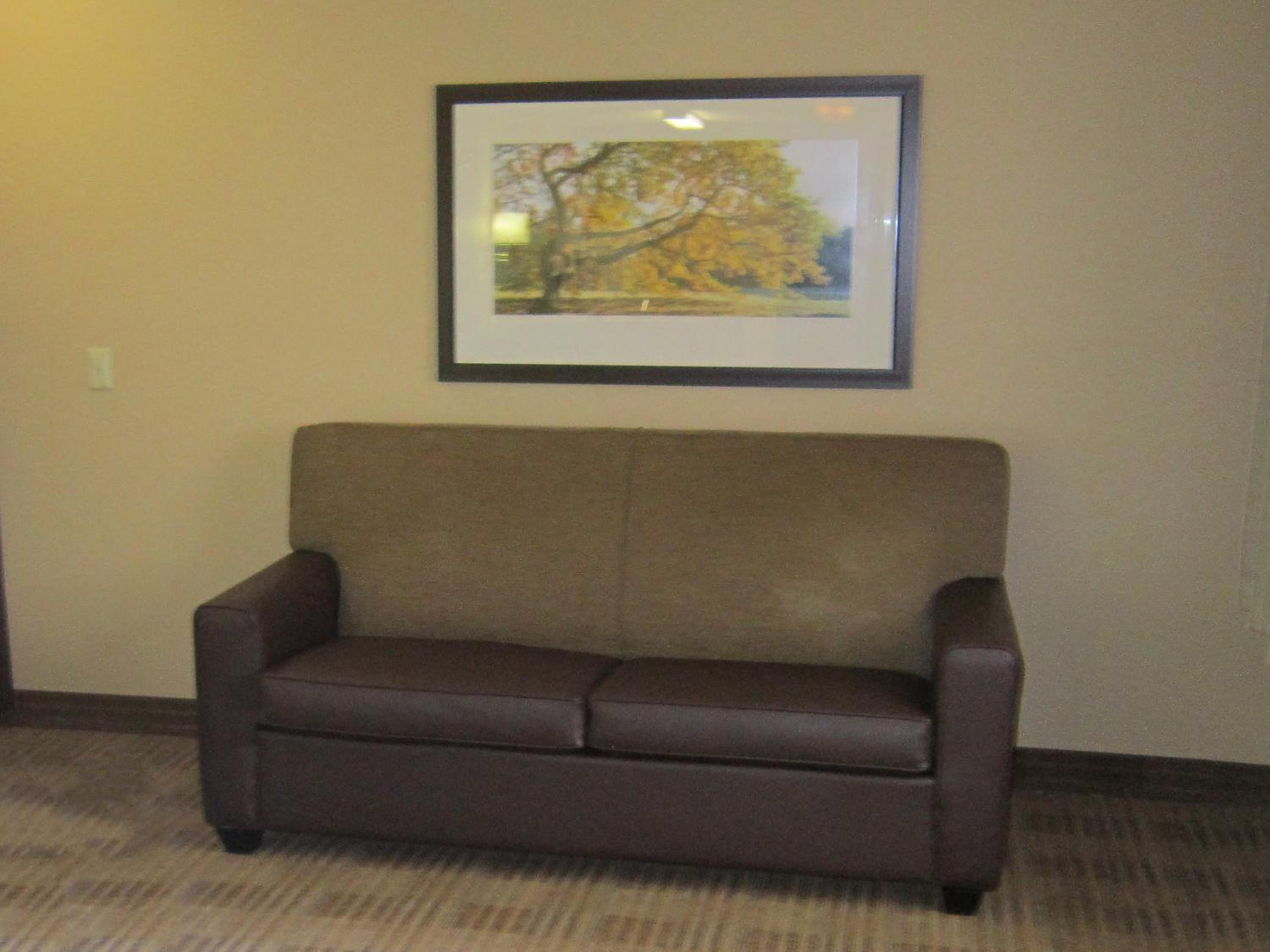 Photo 49