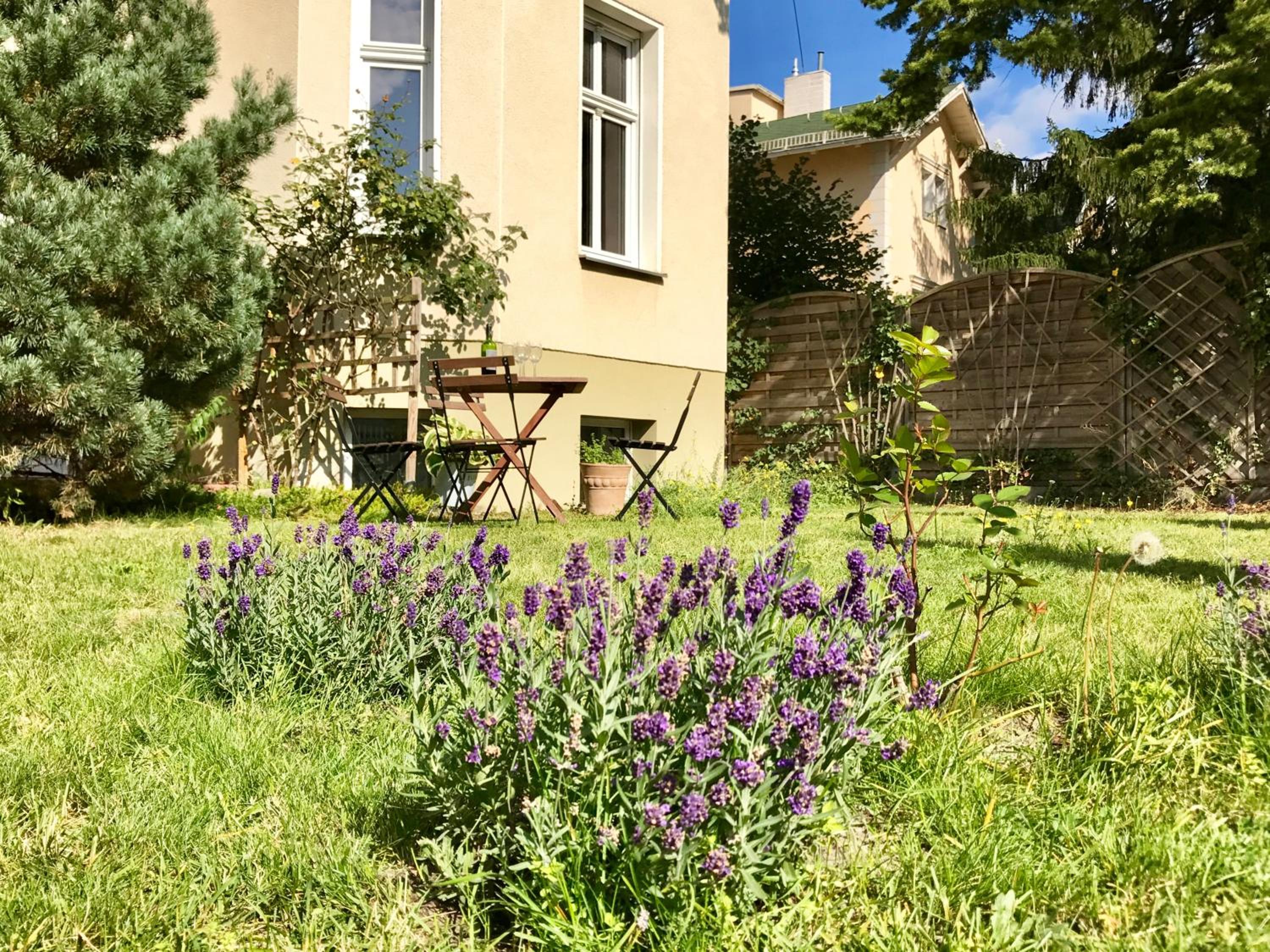 Bürgerpark Apartments