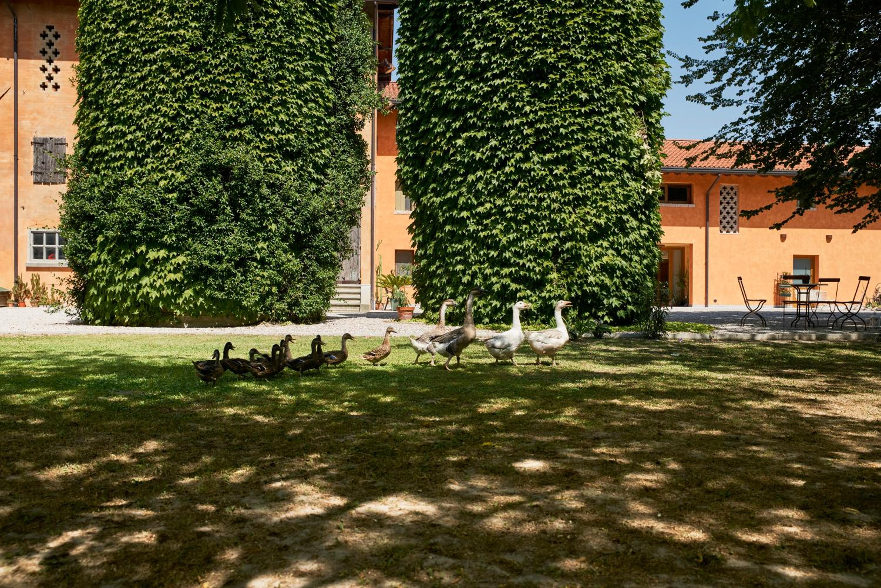 Al Canton Agriturismo di Design