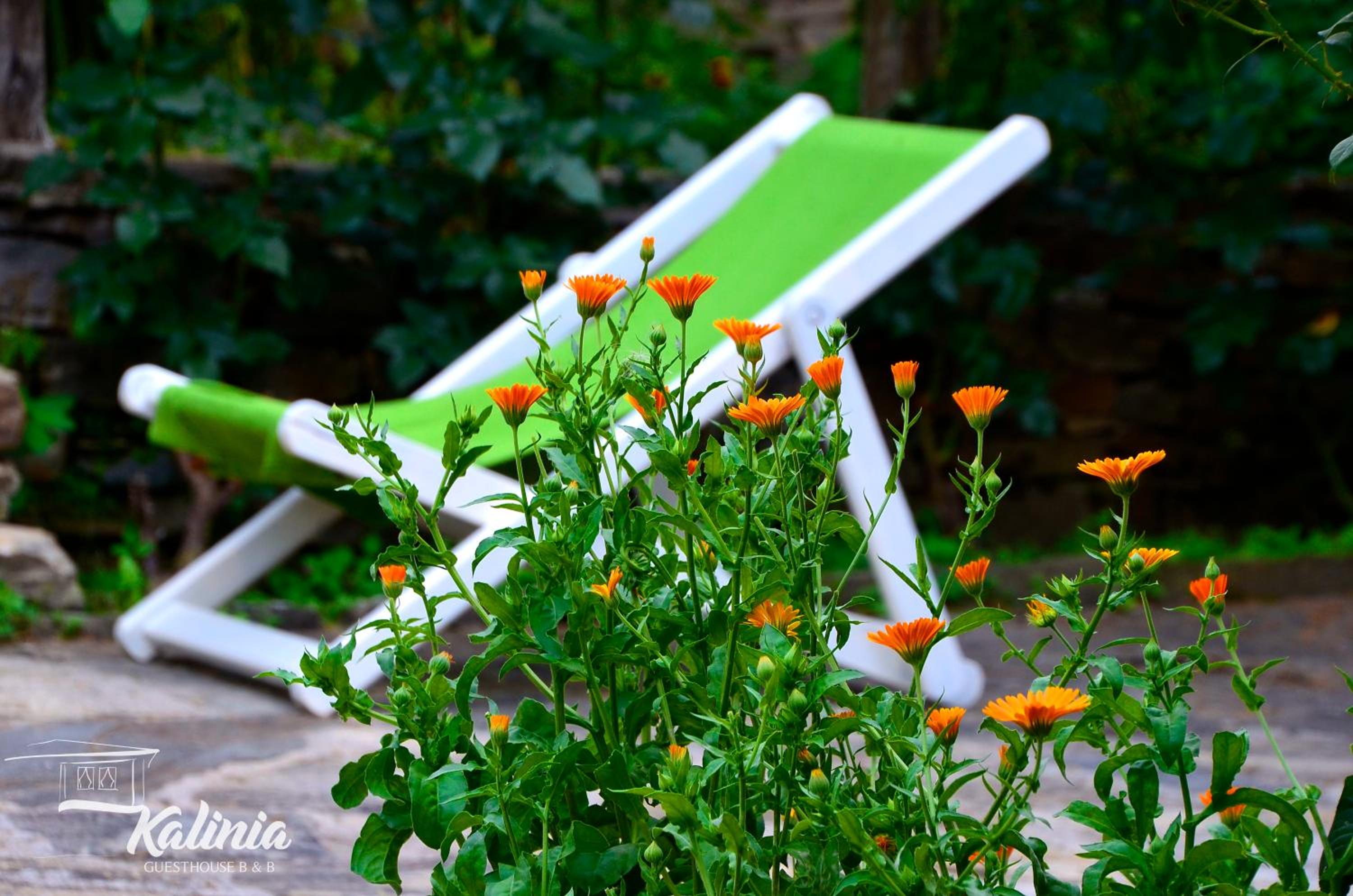 Kalinia Guesthouse B&B