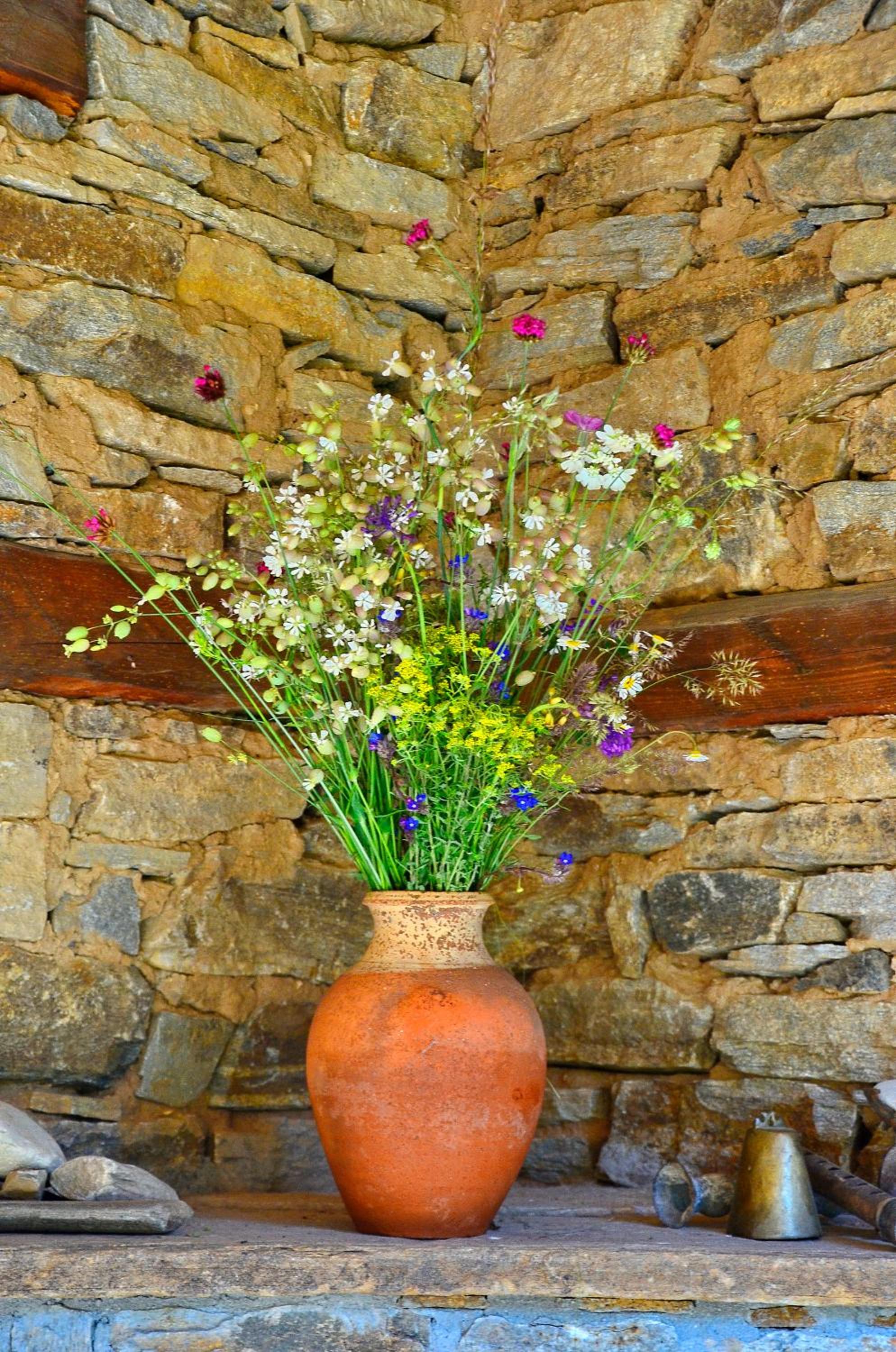 Kalinia Guesthouse B&B