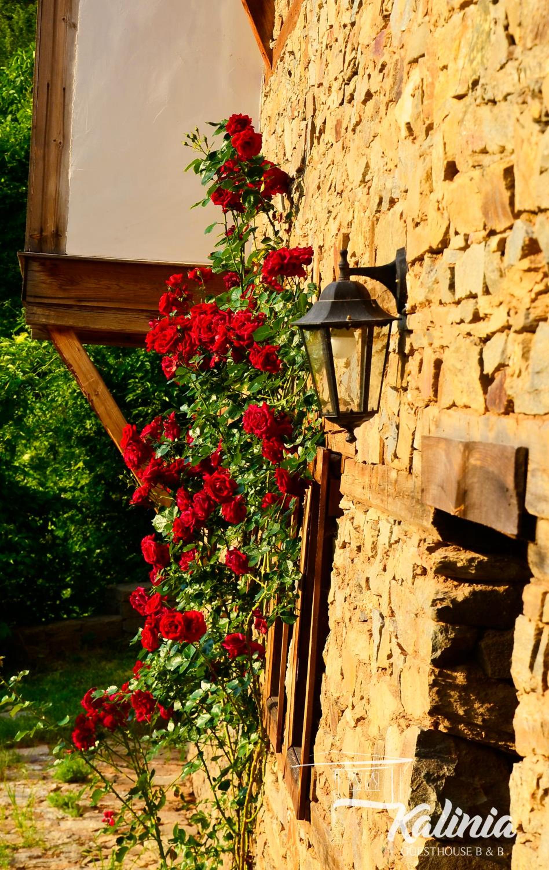 Kalinia Guesthouse B&B