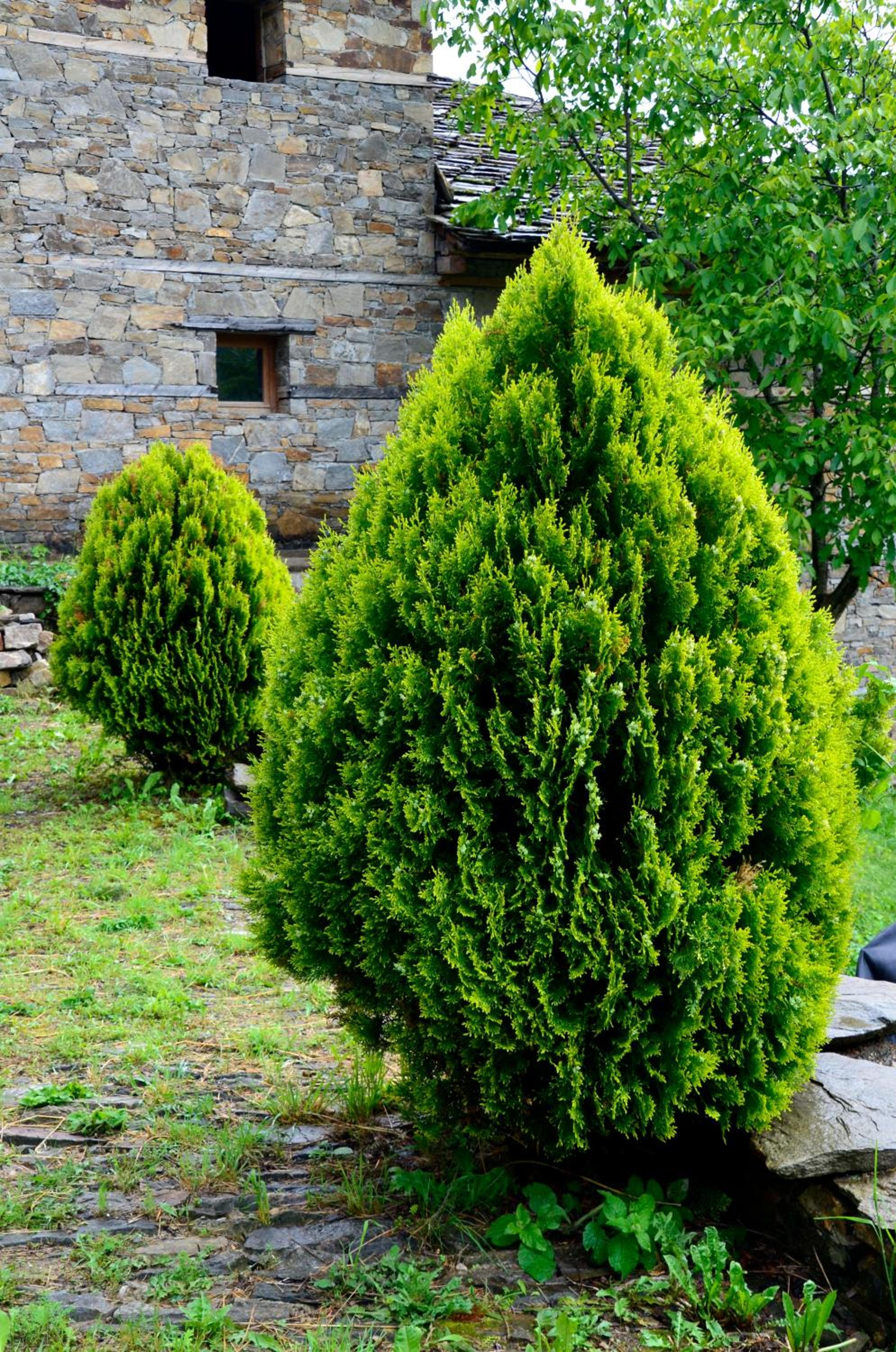 Kalinia Guesthouse B&B