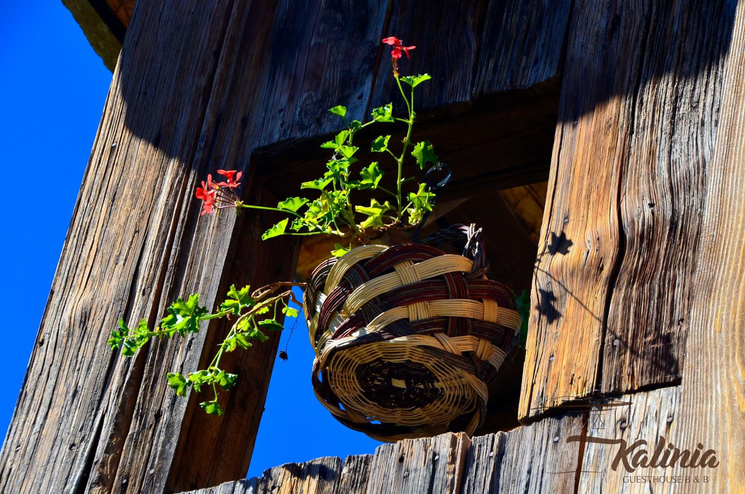 Kalinia Guesthouse B&B