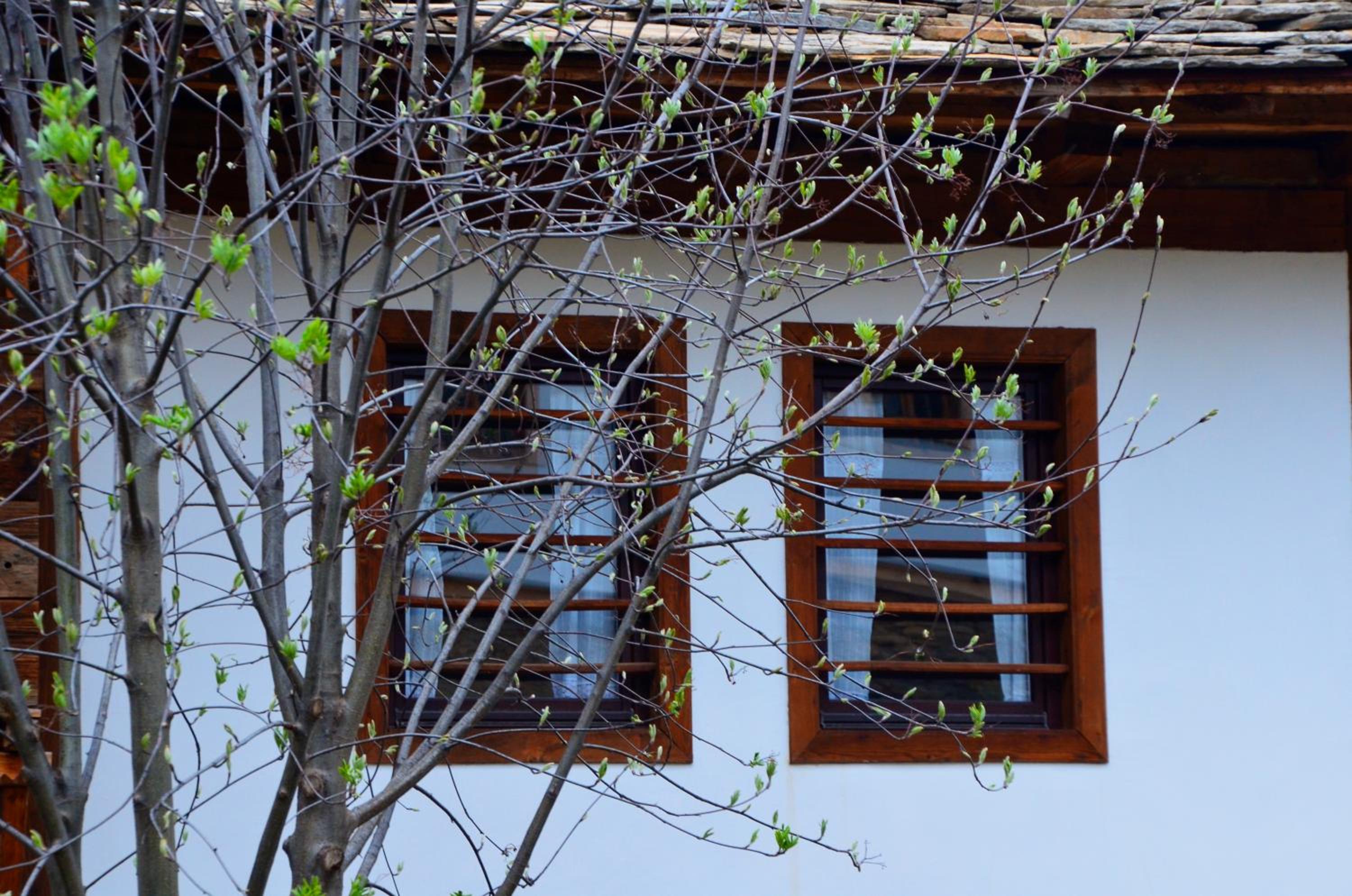 Kalinia Guesthouse B&B