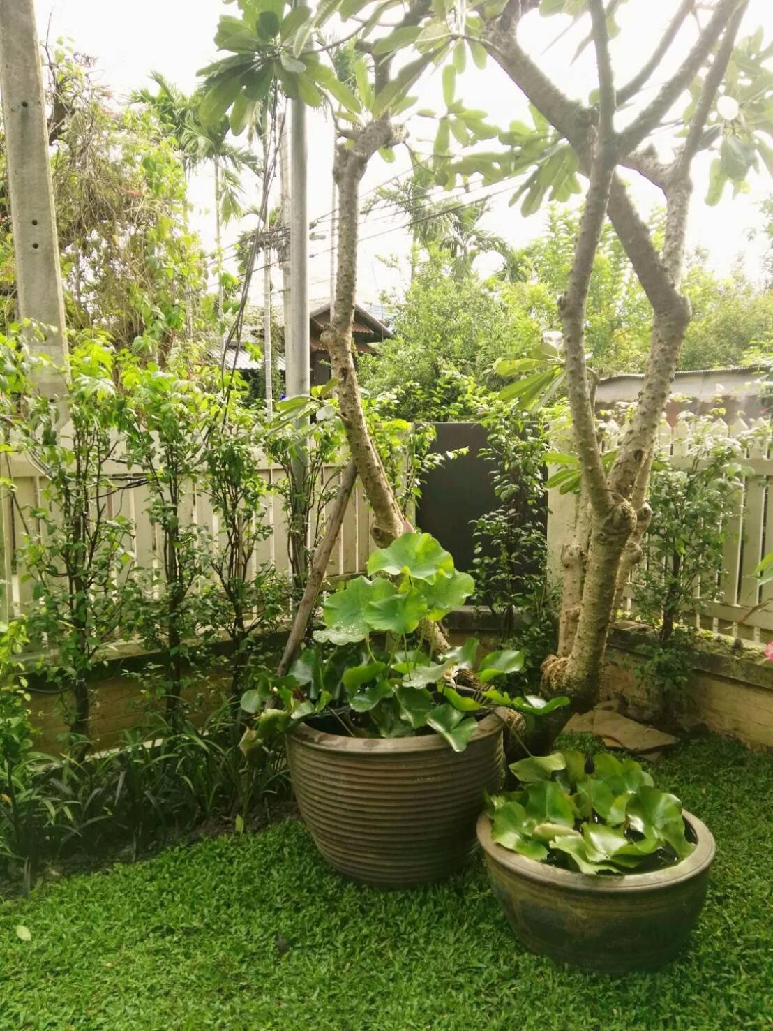 18 In Town Homestay