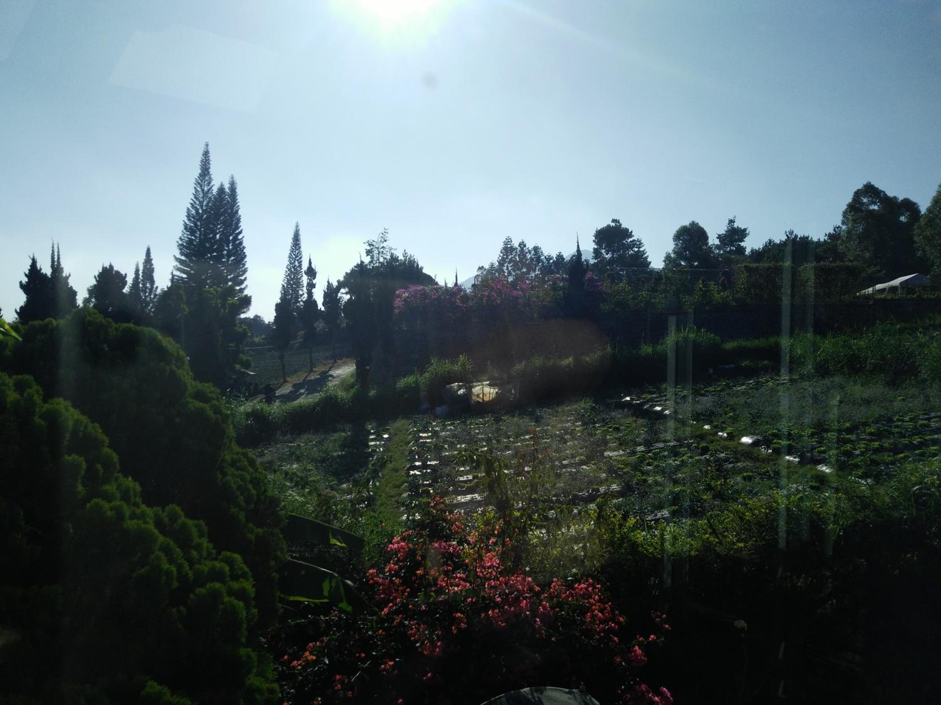 Photo 41
