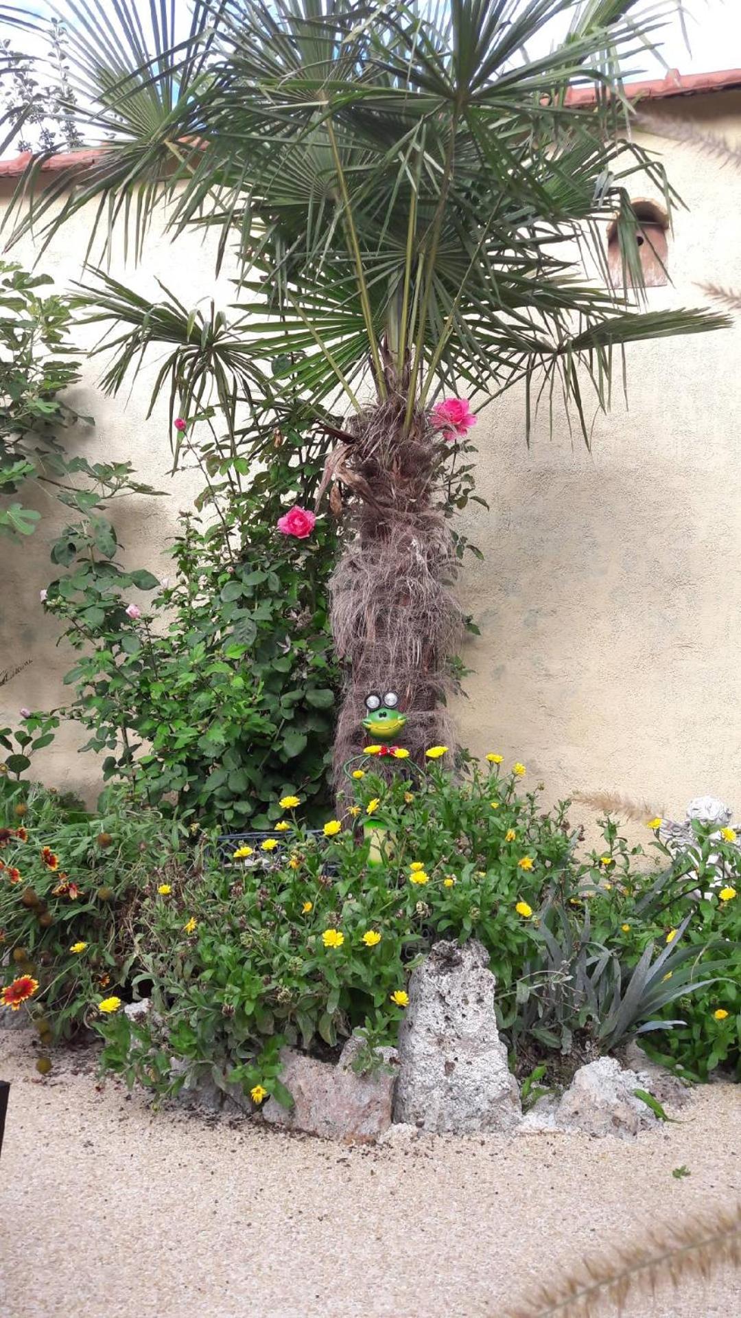 La CRAPOUNETTE