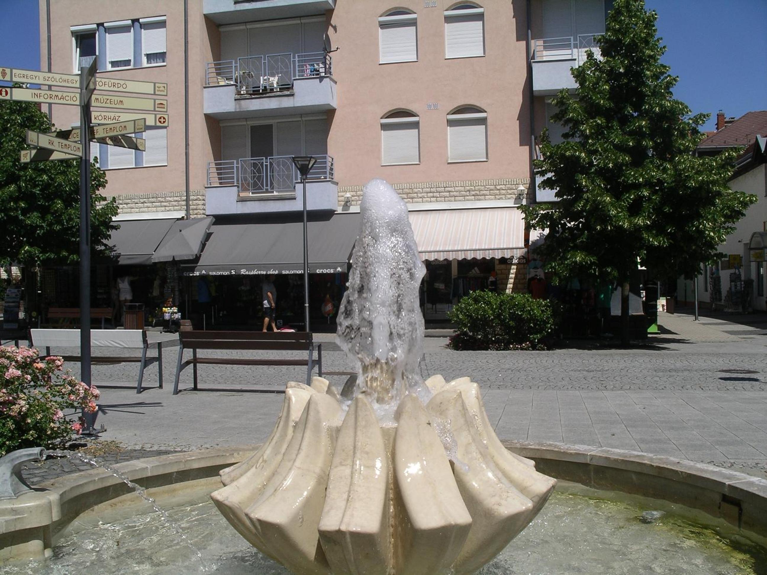 Photo 54