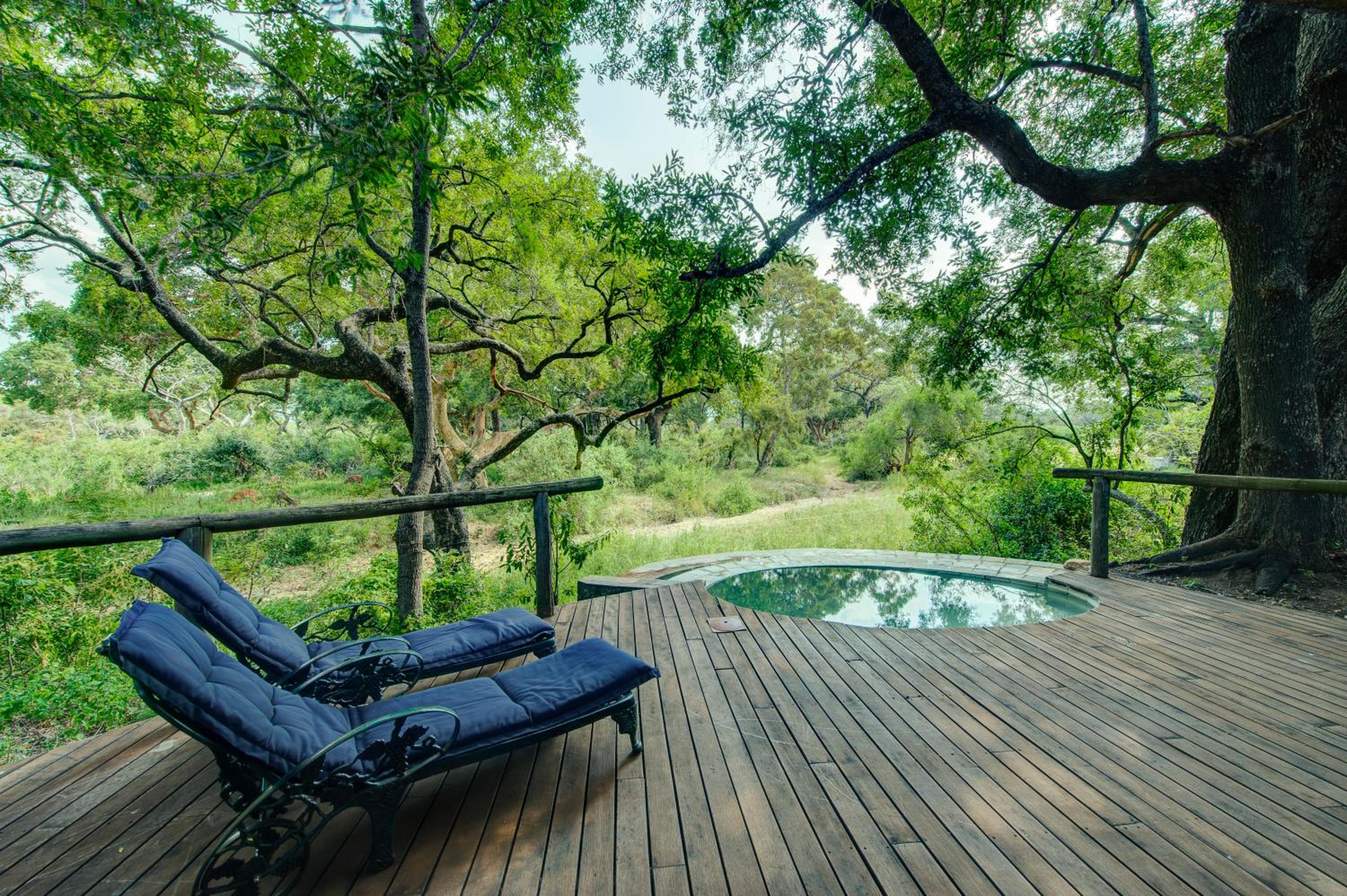 Tintswalo Safari