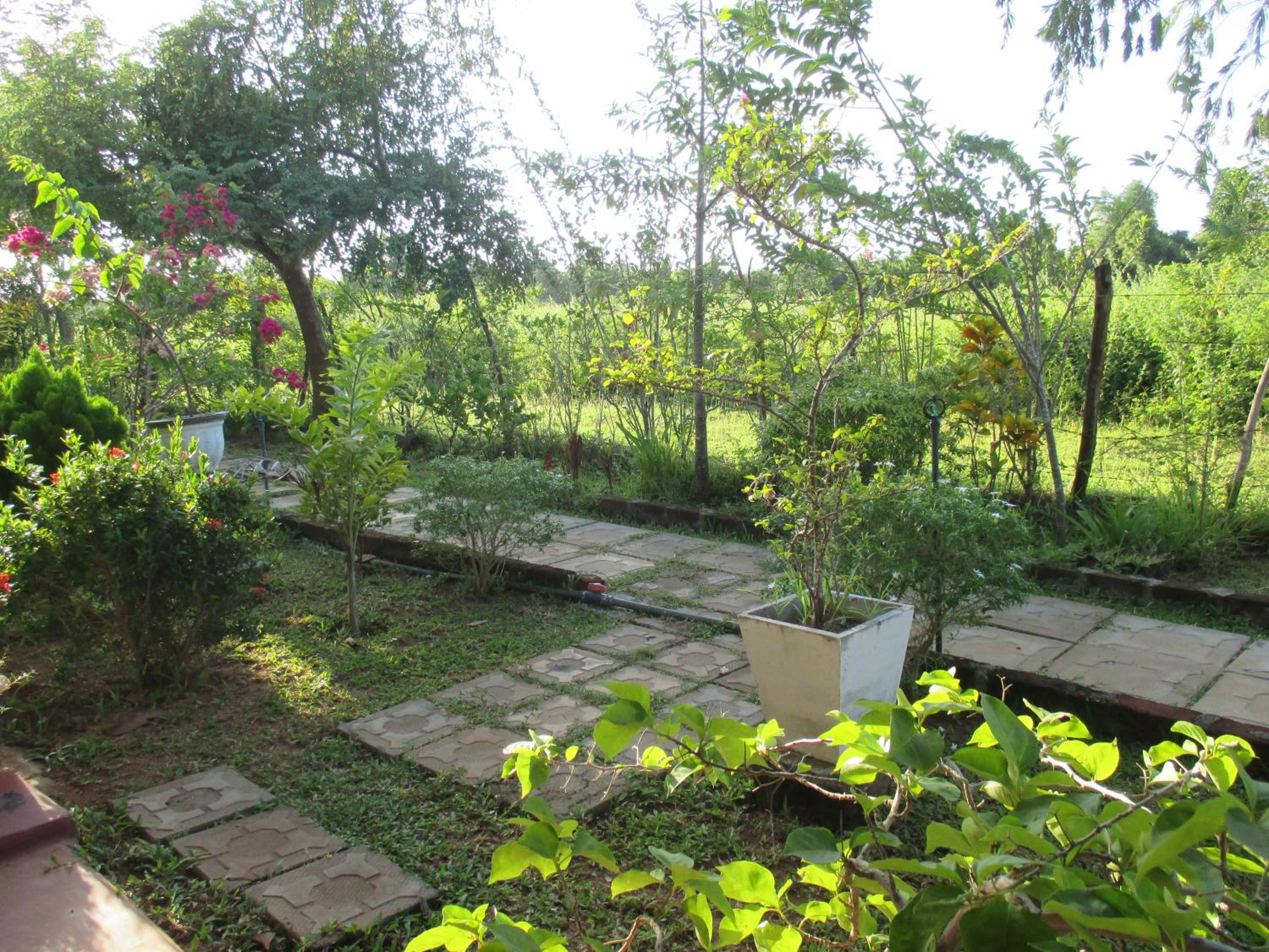 Village Garden Inn