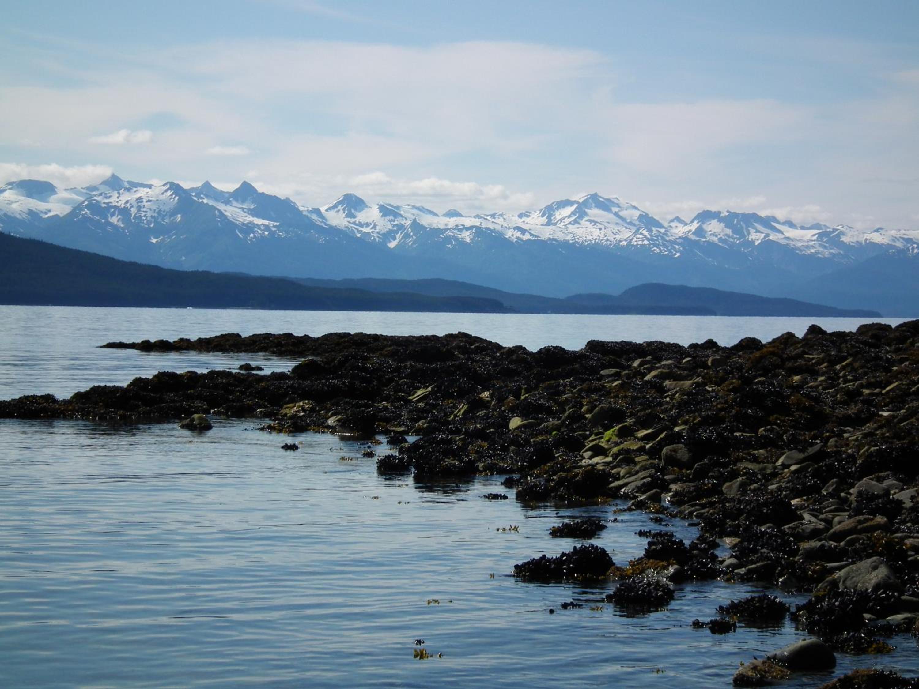 Juneau Vacations - Aspen Suites Hotel Juneau - Property Image 14