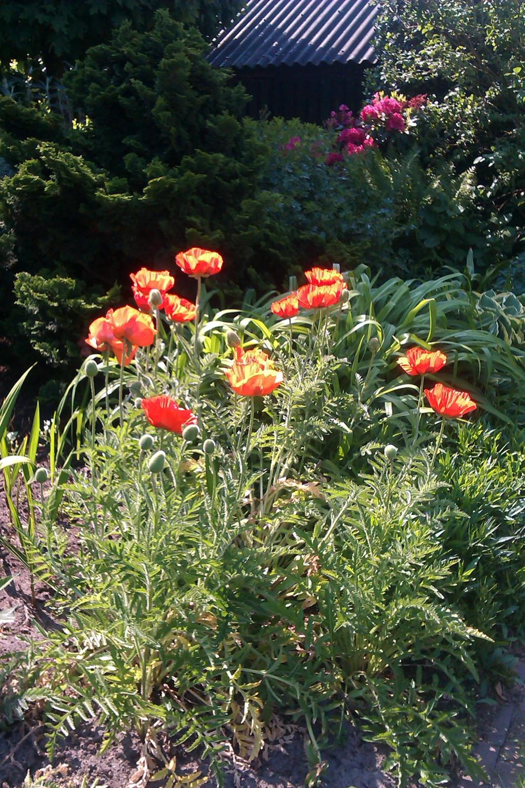 Photo 21
