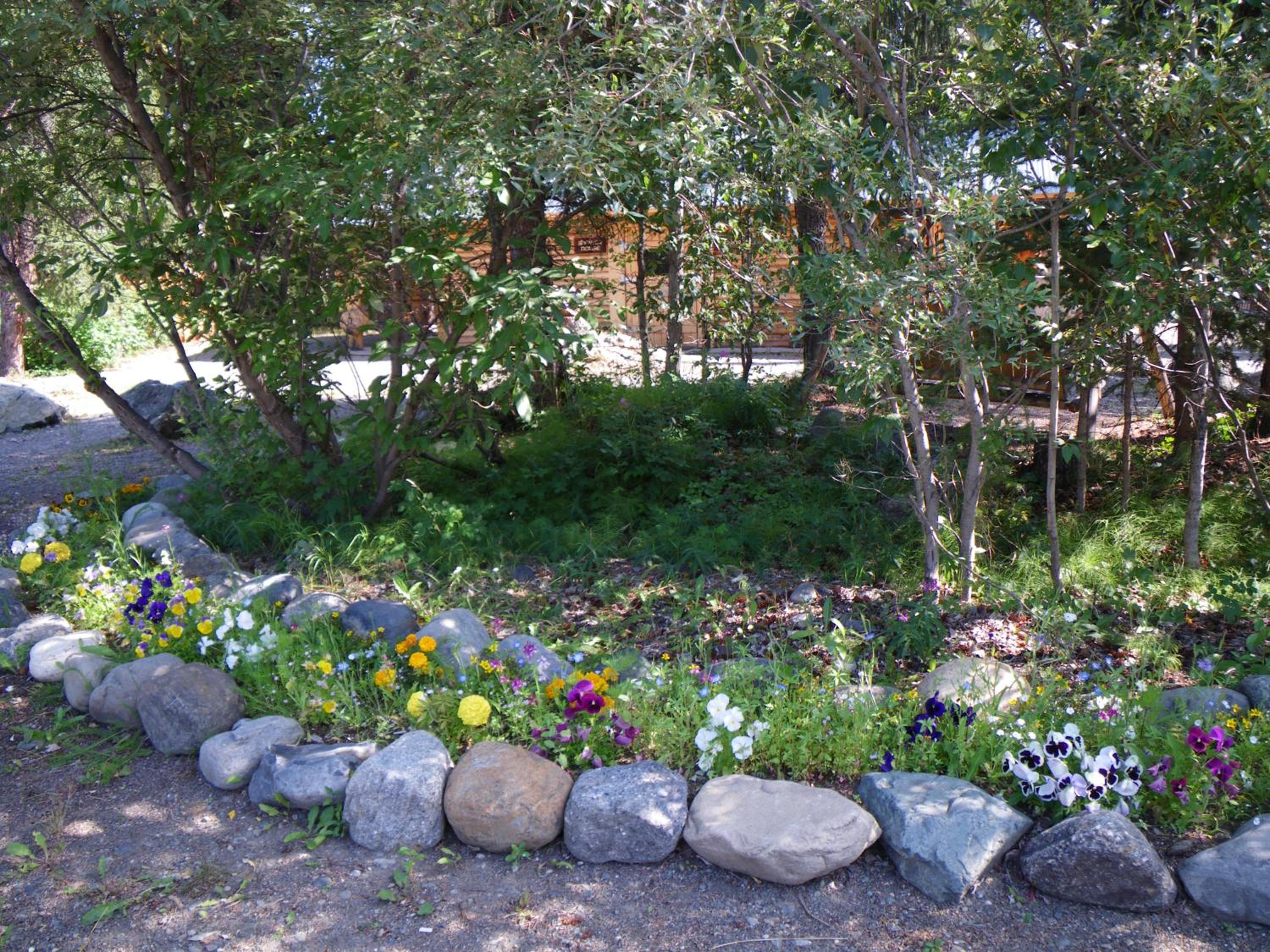 Photo 62