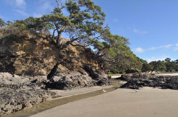 Waipu Cove Resort