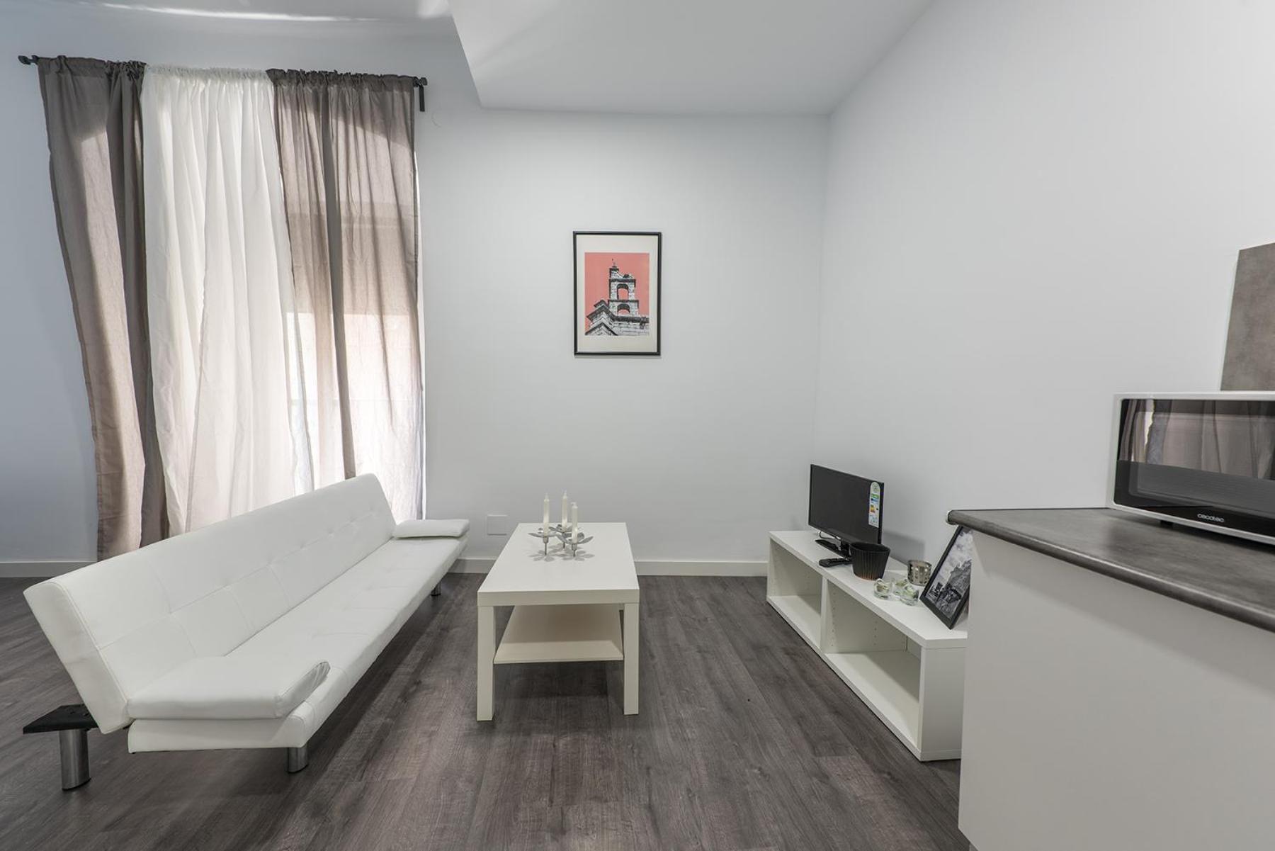 Apartamentos Turísticos Domus Seleqtia Plaza Mayor