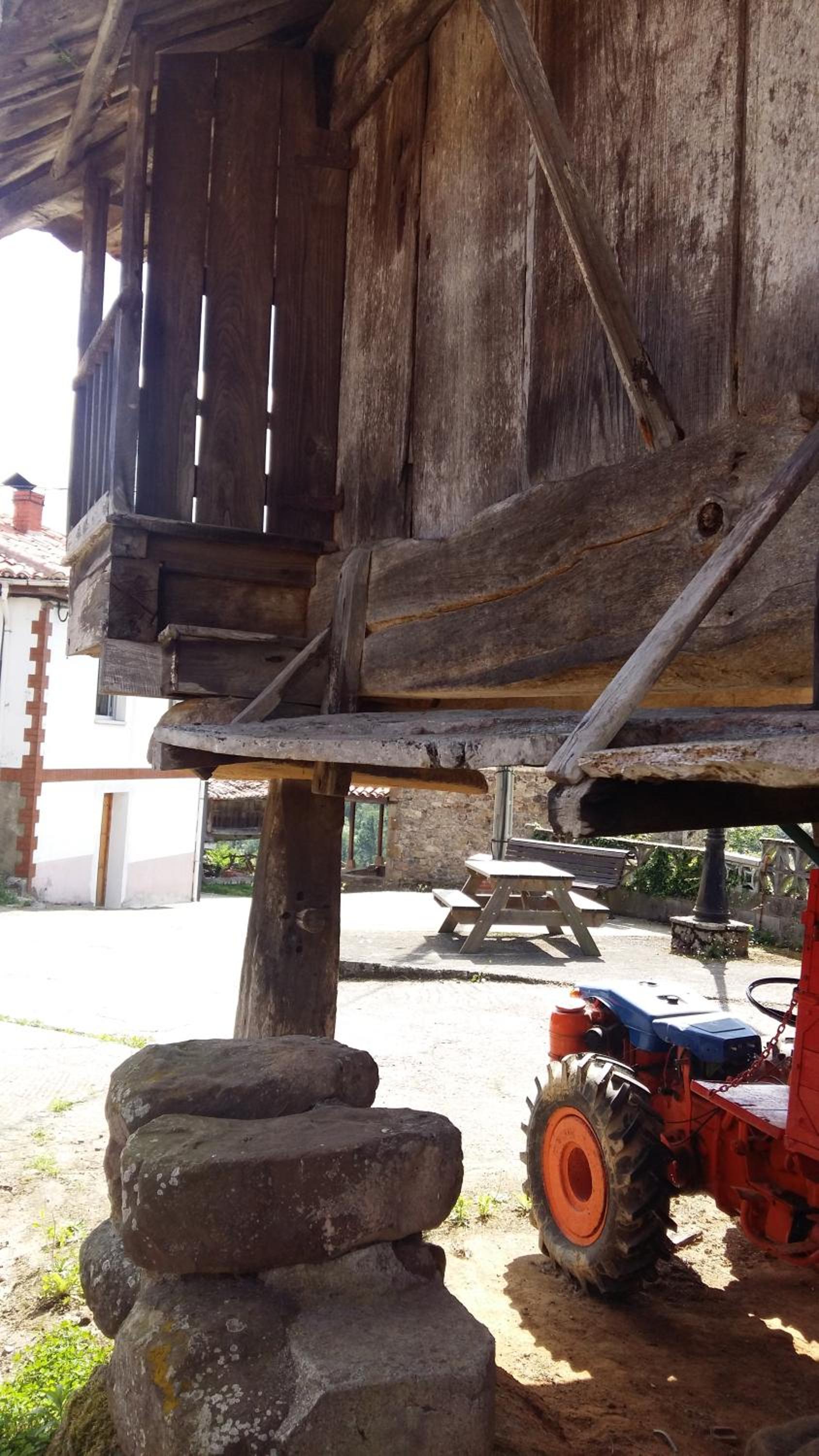 Photo 44