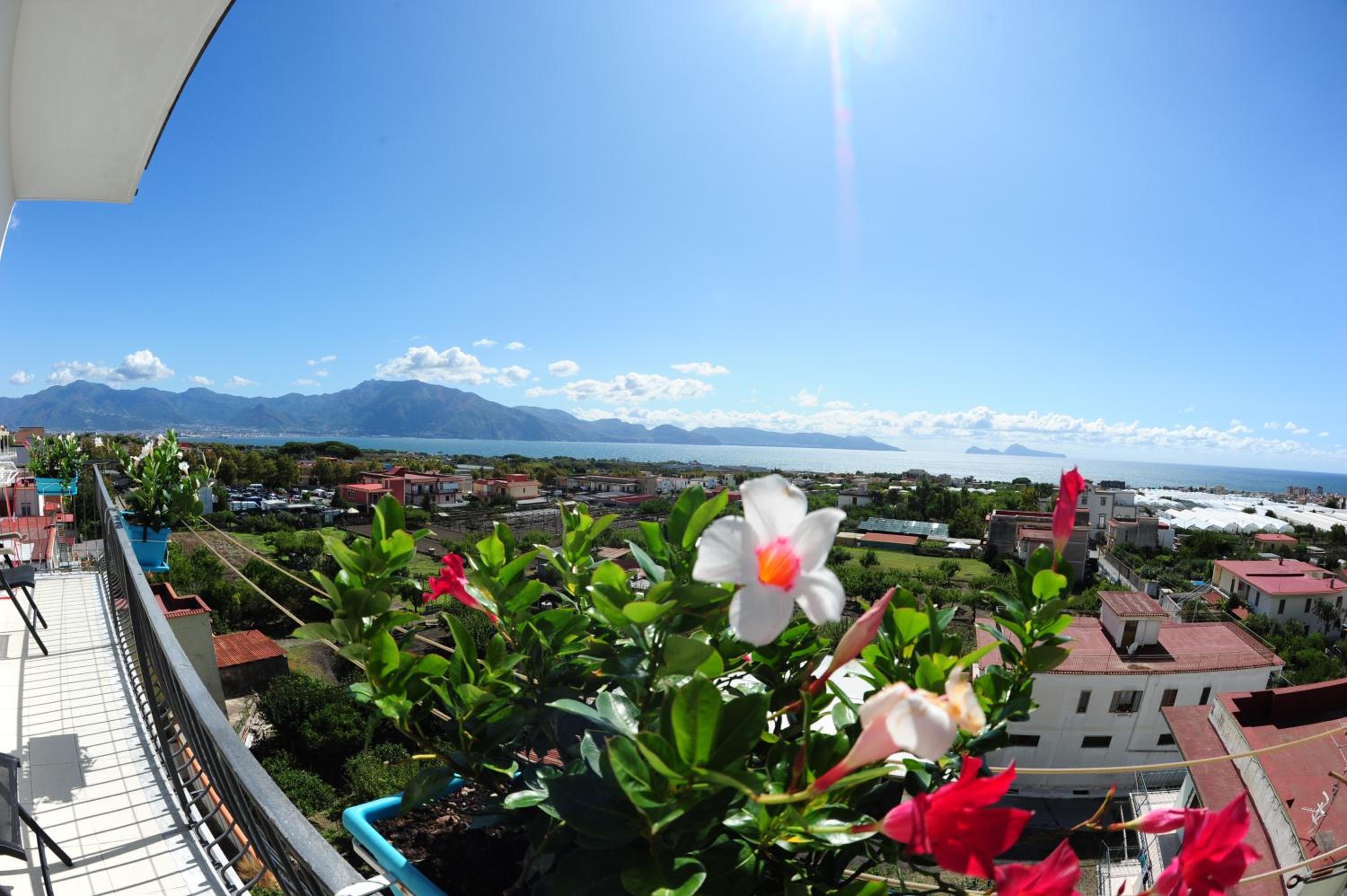 The Last Floor view 4