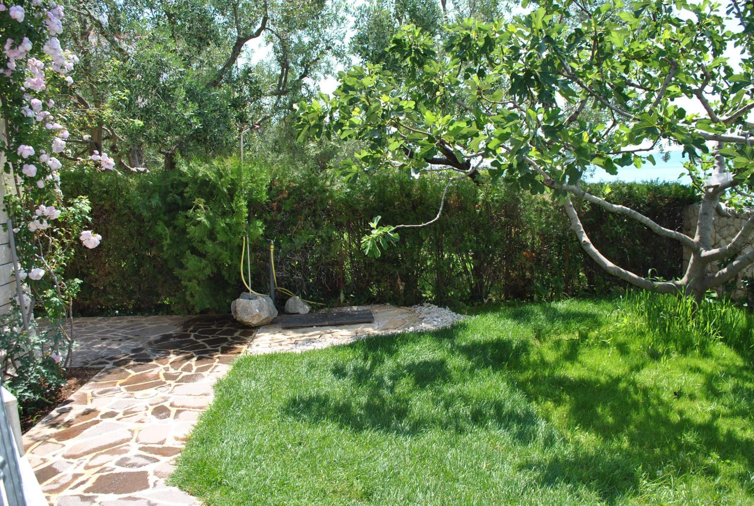 Photo 43