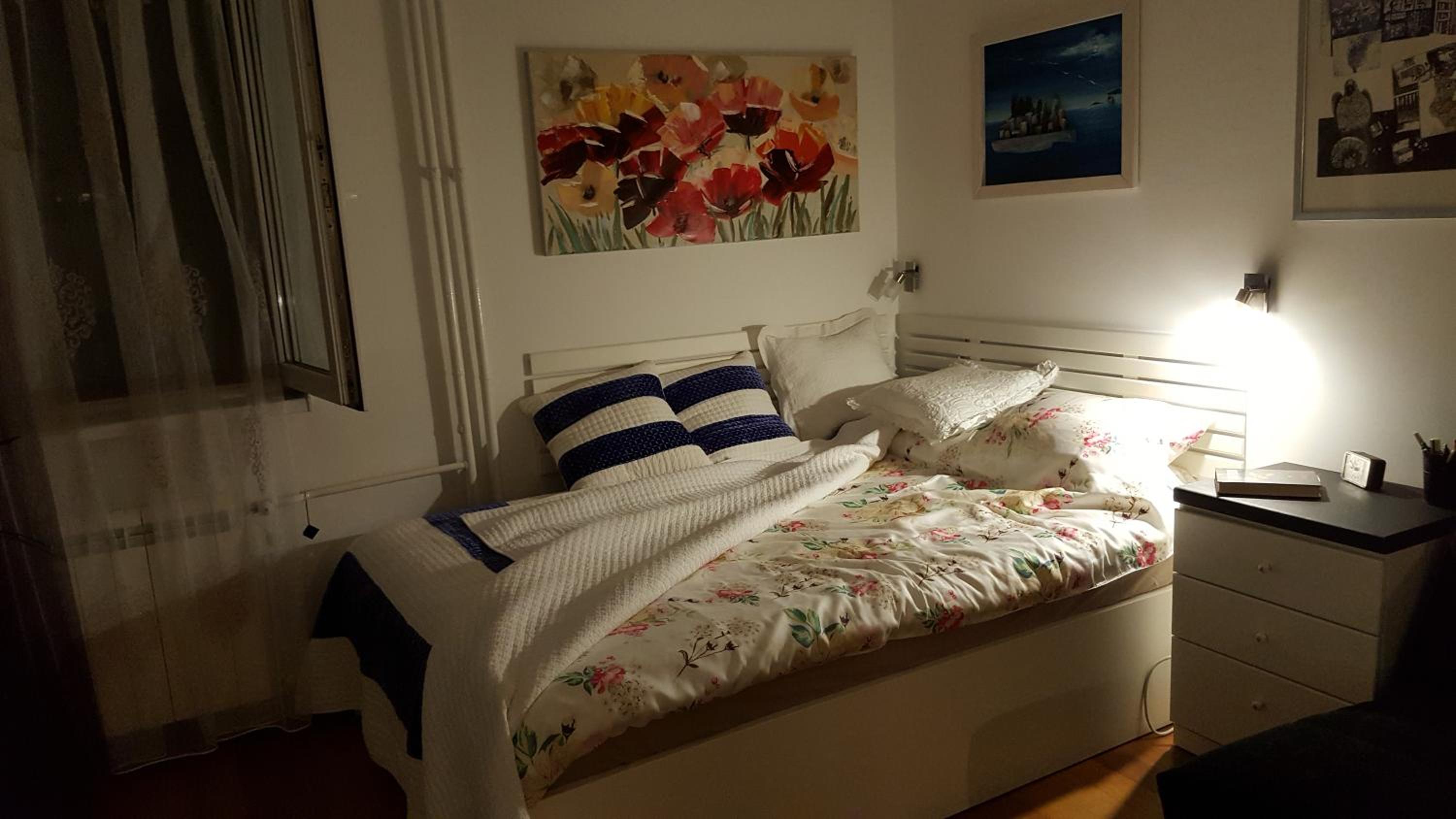 Apartment Elza view 4