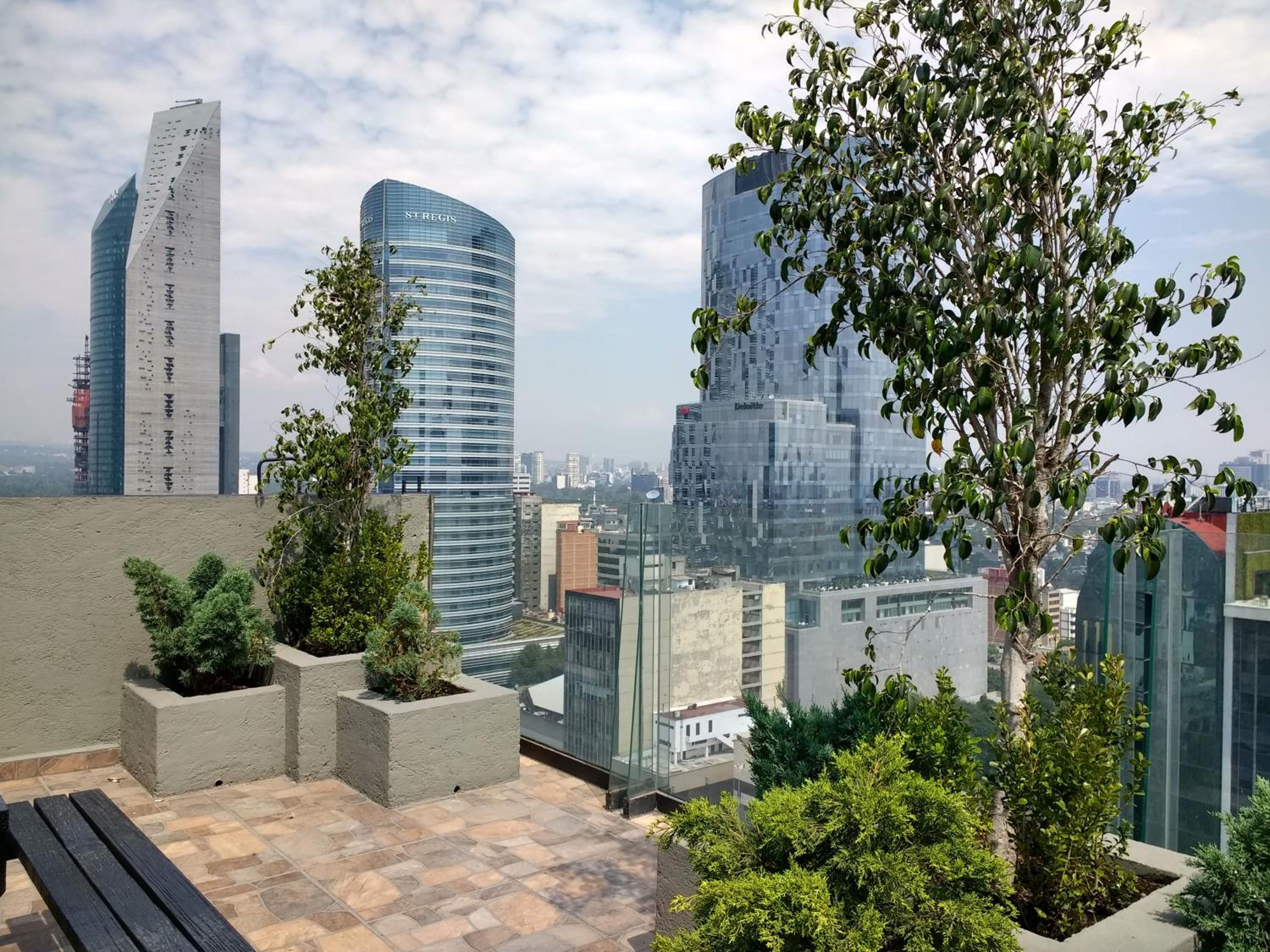 Suites Capri Reforma Ángel 380