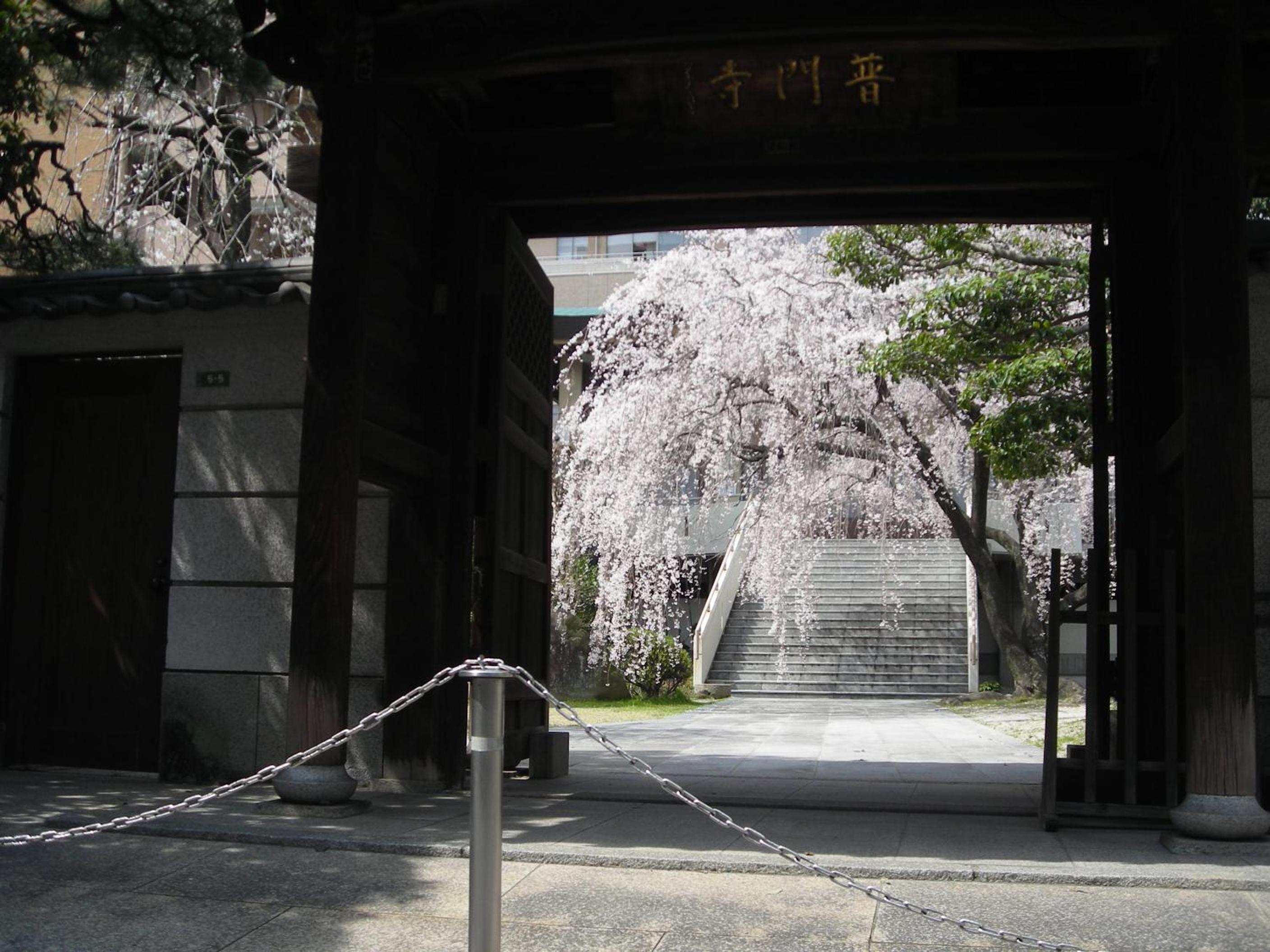 Kasuga Ryokan