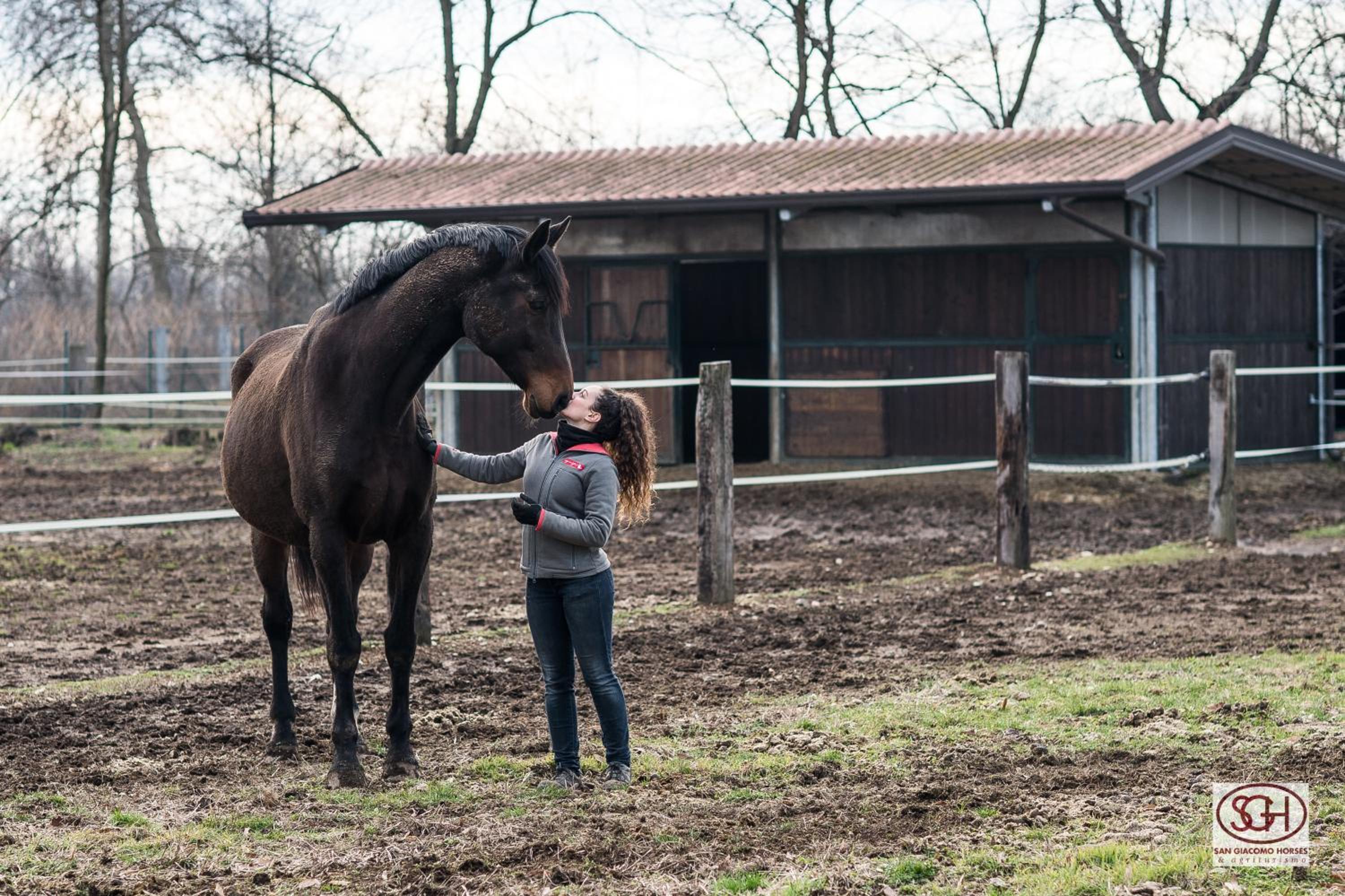 San Giacomo Horses & Agriturismo
