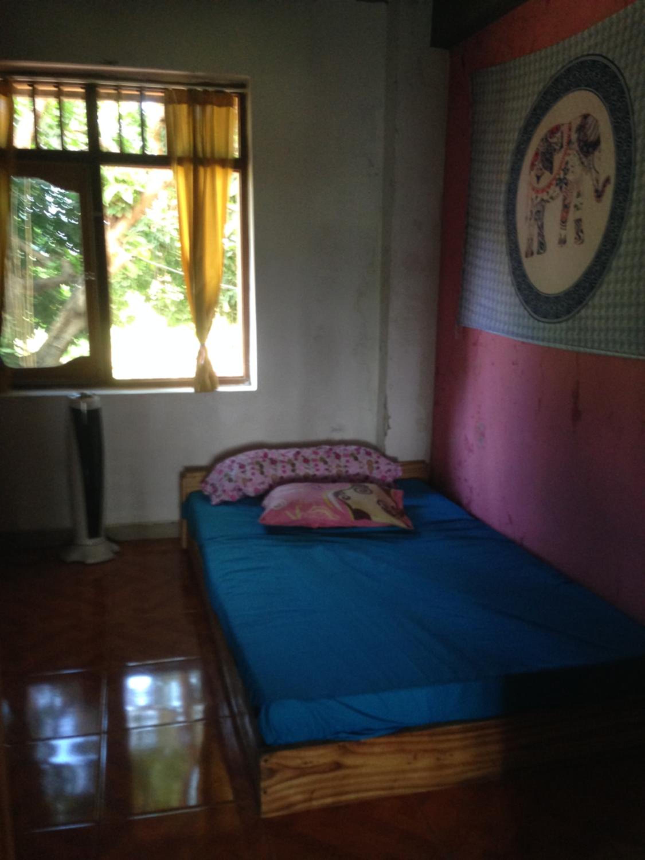 Photo 194