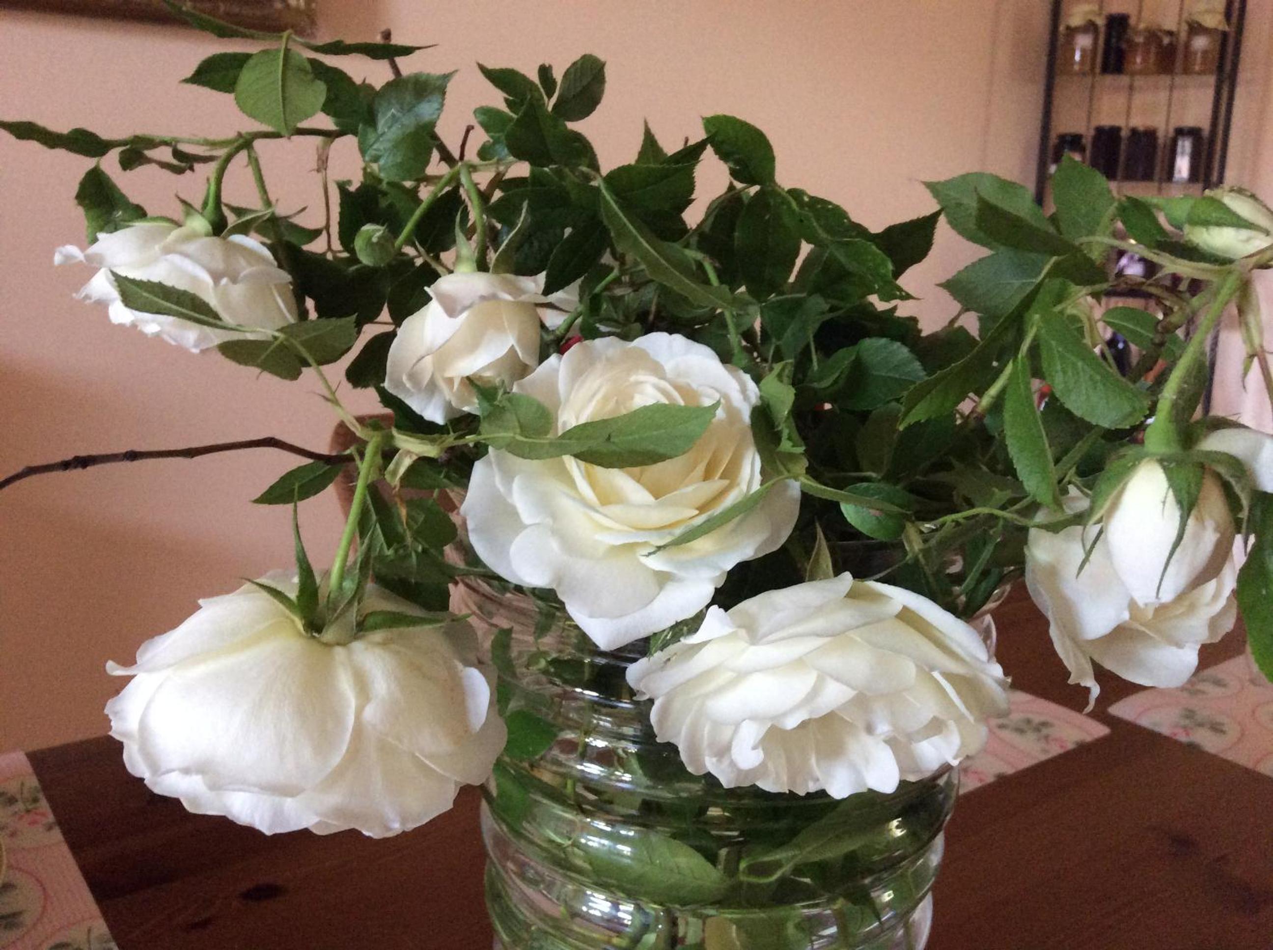 Photo 22