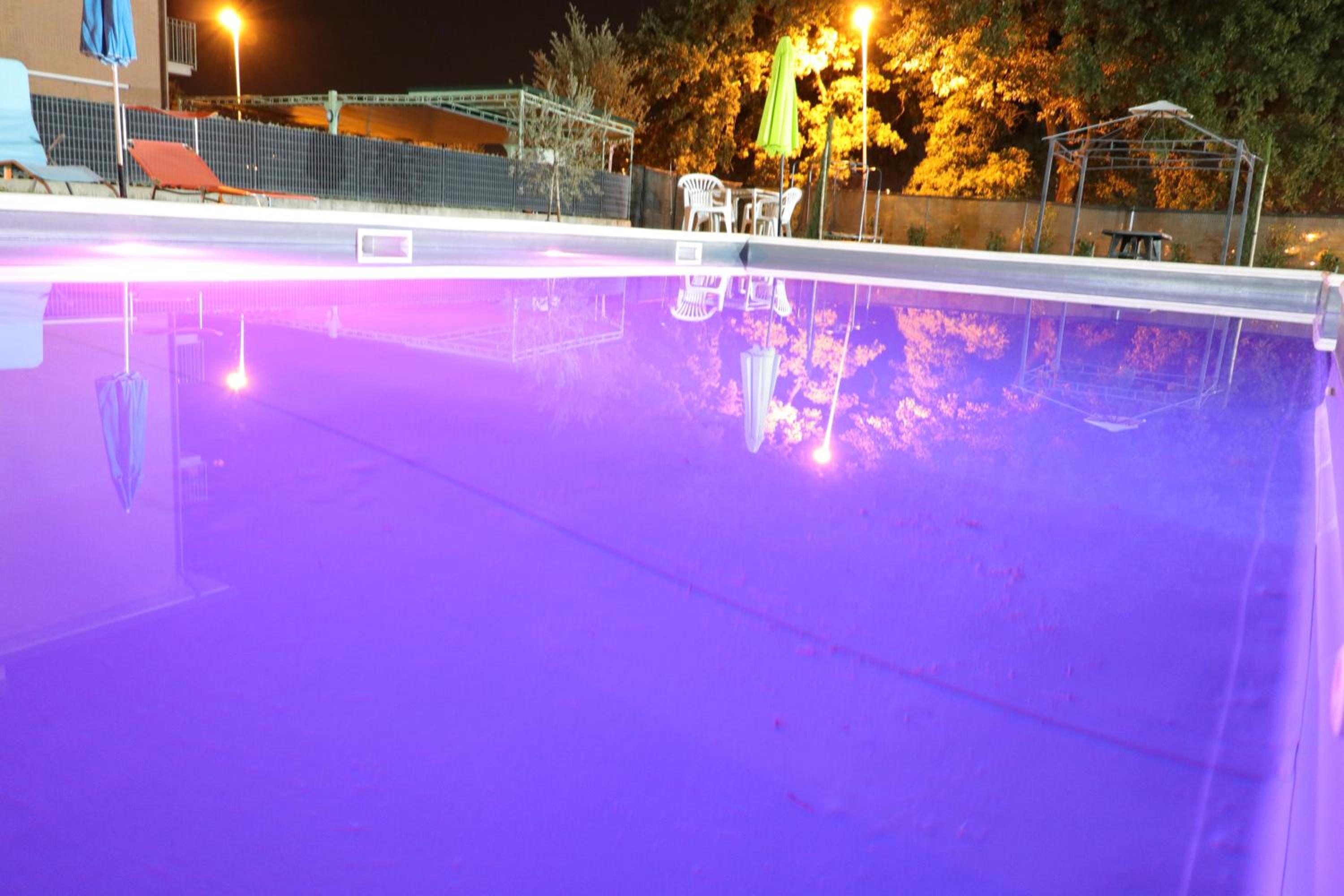 Photo 46