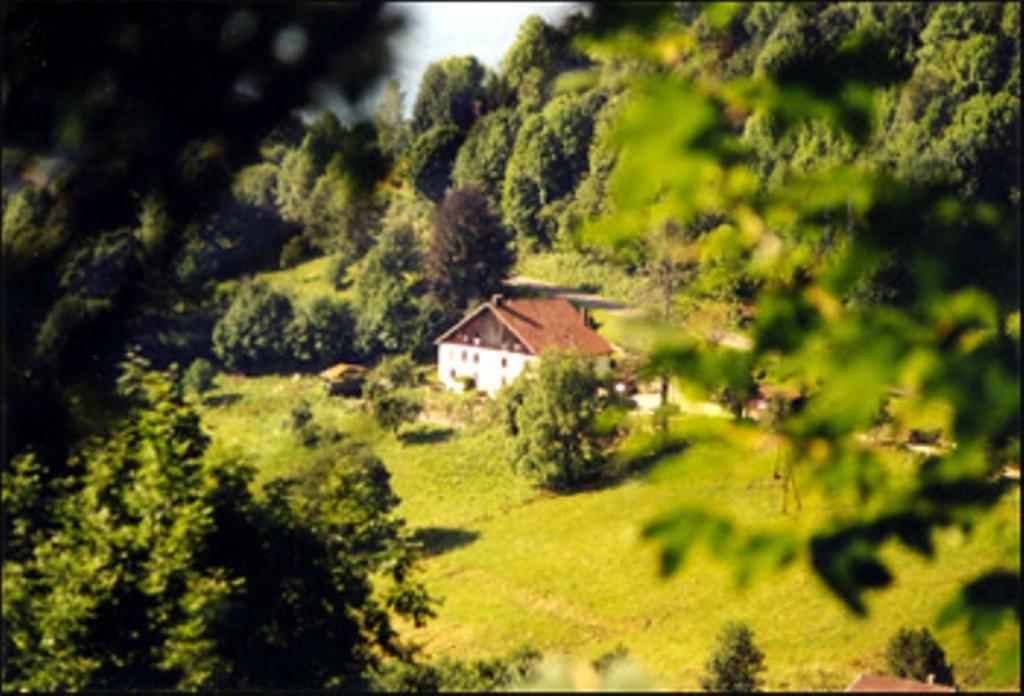 La Ferme du Vieux Sapin view 3